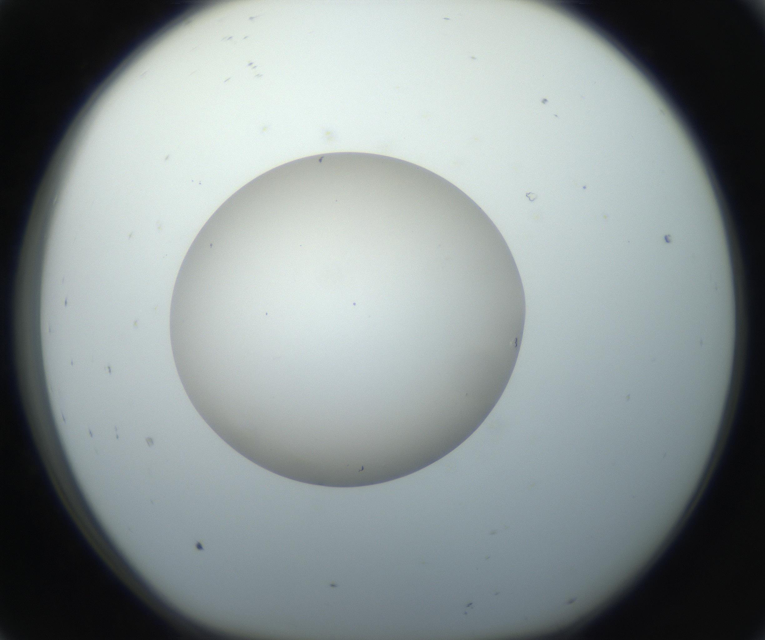 RI01_03_000_0212_Proj1_Clon1_MC_0000MC102733_003_160921_08_01_01_00_99_002_001_RAI.jpg