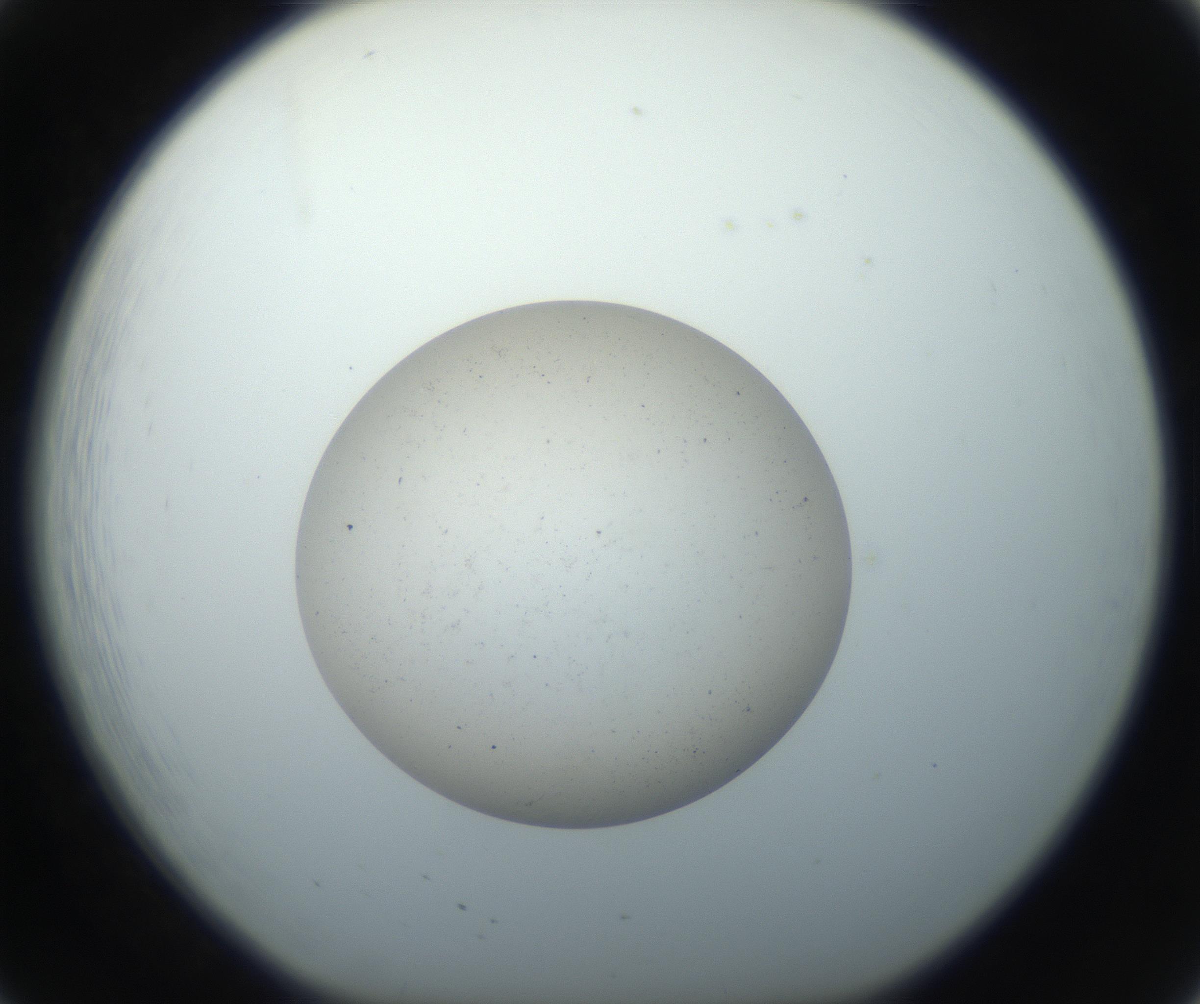 RI01_03_000_0212_Proj1_Clon1_MC_0000MC102733_003_160921_08_02_01_00_99_002_001_RAI.jpg
