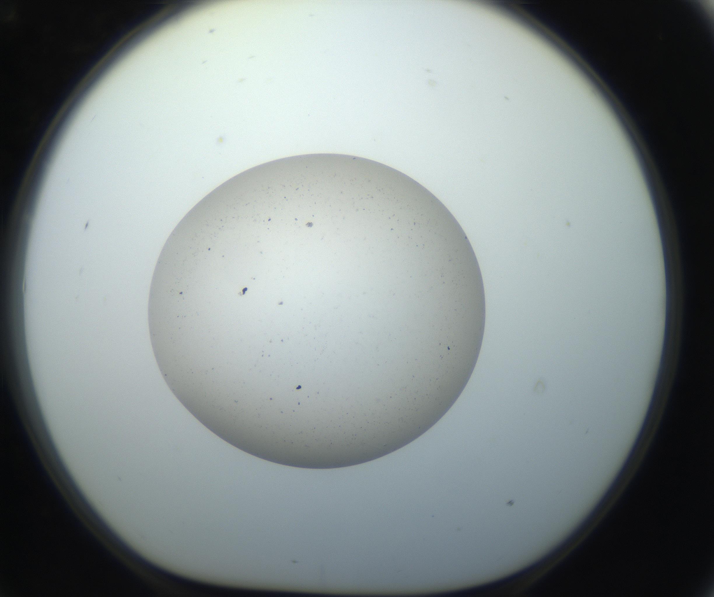 RI01_03_000_0212_Proj1_Clon1_MC_0000MC102733_003_160921_09_07_01_00_99_002_001_RAI.jpg