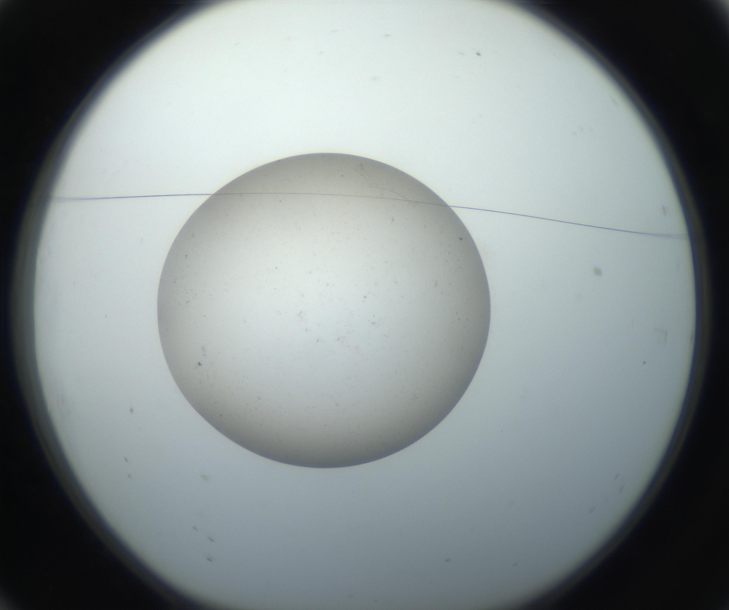 RI01_03_000_0212_Proj1_Clon1_MC_0000MC102733_003_160921_10_01_01_00_99_002_001_RAI.jpg