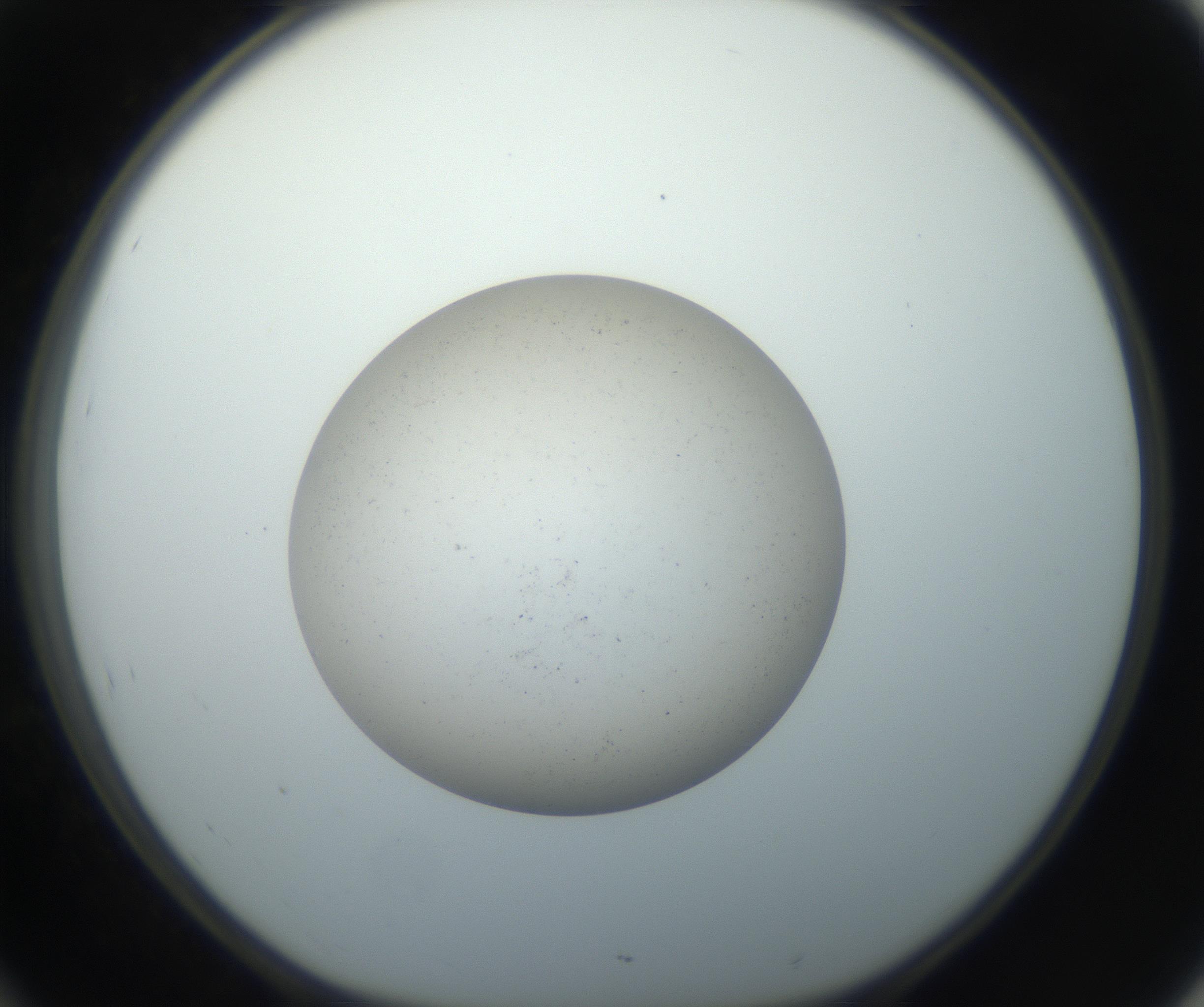 RI01_03_000_0212_Proj1_Clon1_MC_0000MC102733_003_160921_10_04_01_00_99_002_001_RAI.jpg