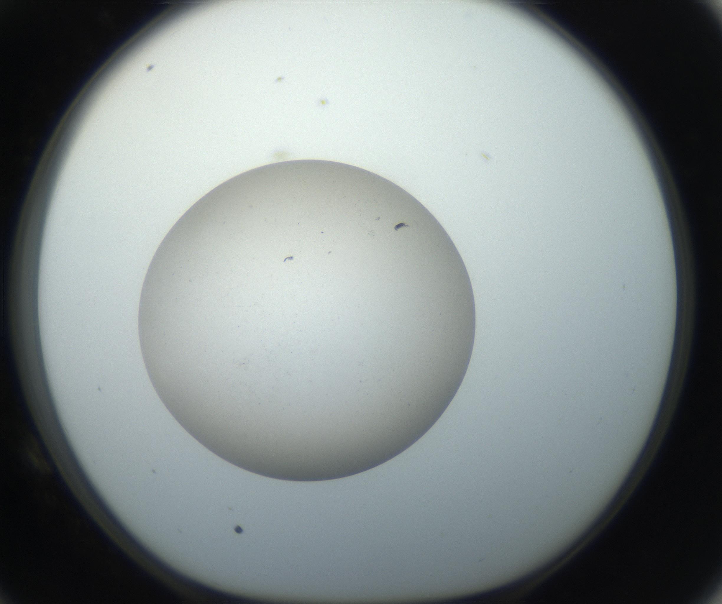 RI01_03_000_0212_Proj1_Clon1_MC_0000MC102733_003_160921_10_05_01_00_99_002_001_RAI.jpg