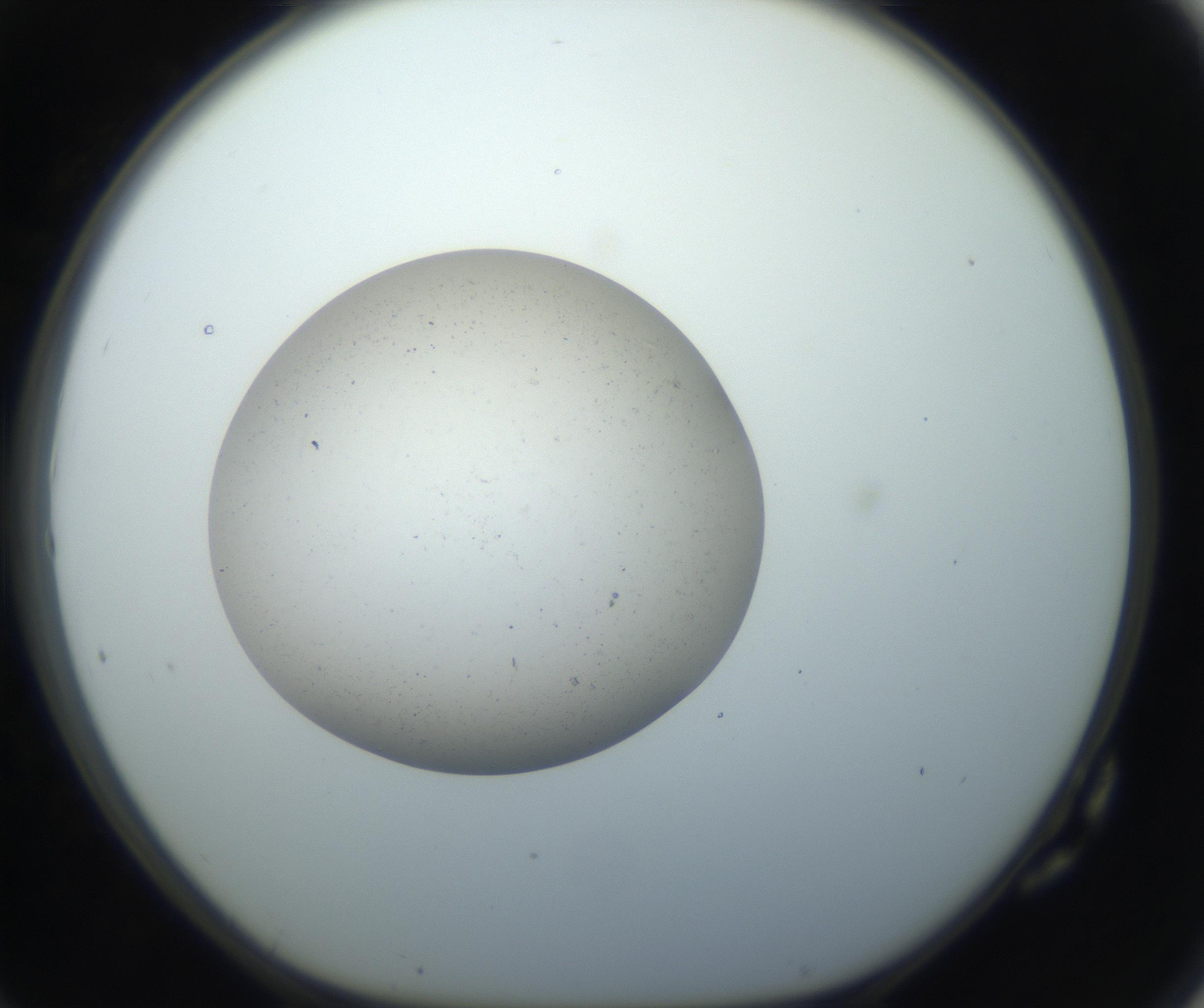 RI01_03_000_0212_Proj1_Clon1_MC_0000MC102733_003_160921_10_07_01_00_99_002_001_RAI.jpg