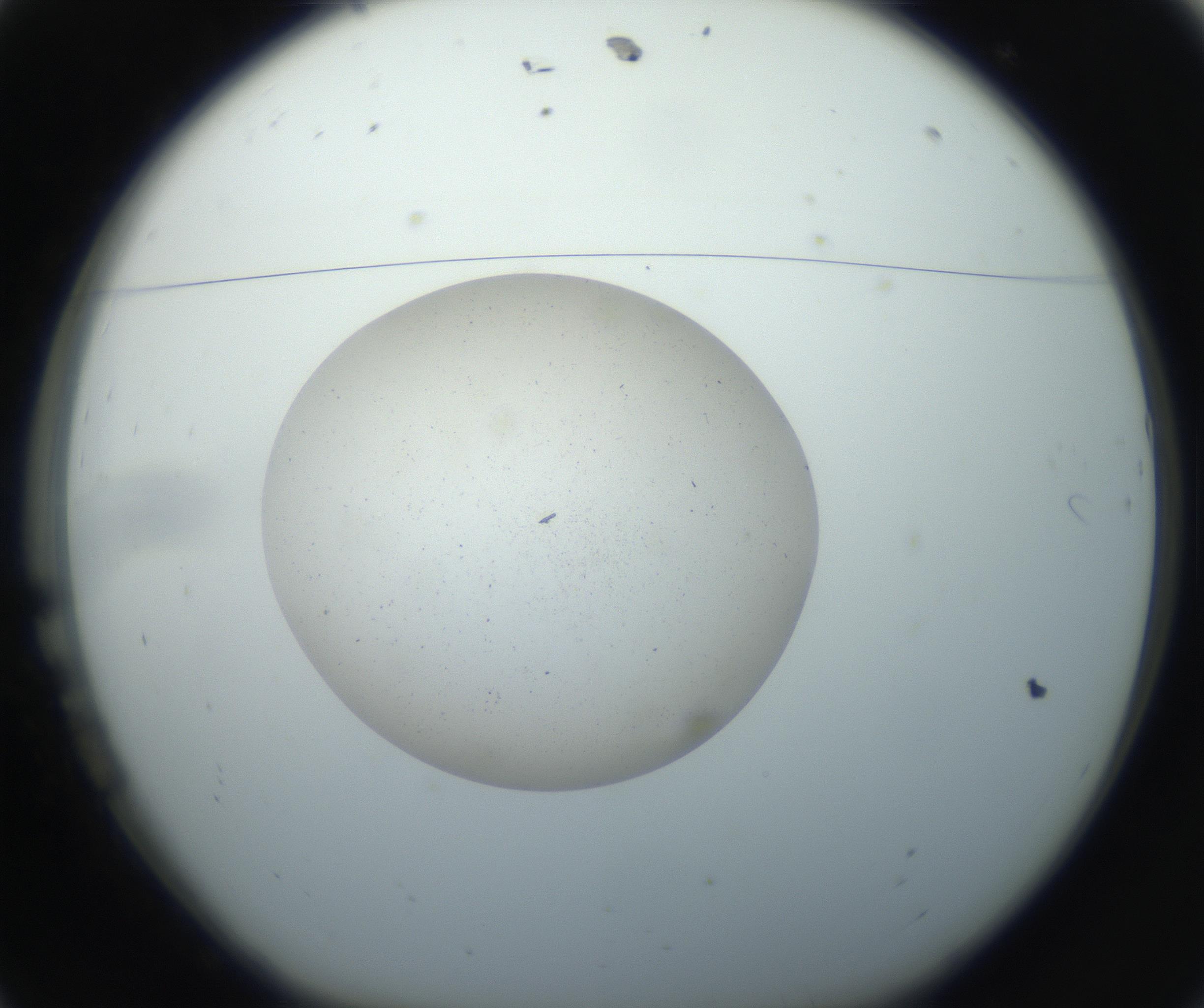 RI01_03_000_0212_Proj1_Clon1_MC_0000MC102733_003_160921_11_01_01_00_99_002_001_RAI.jpg