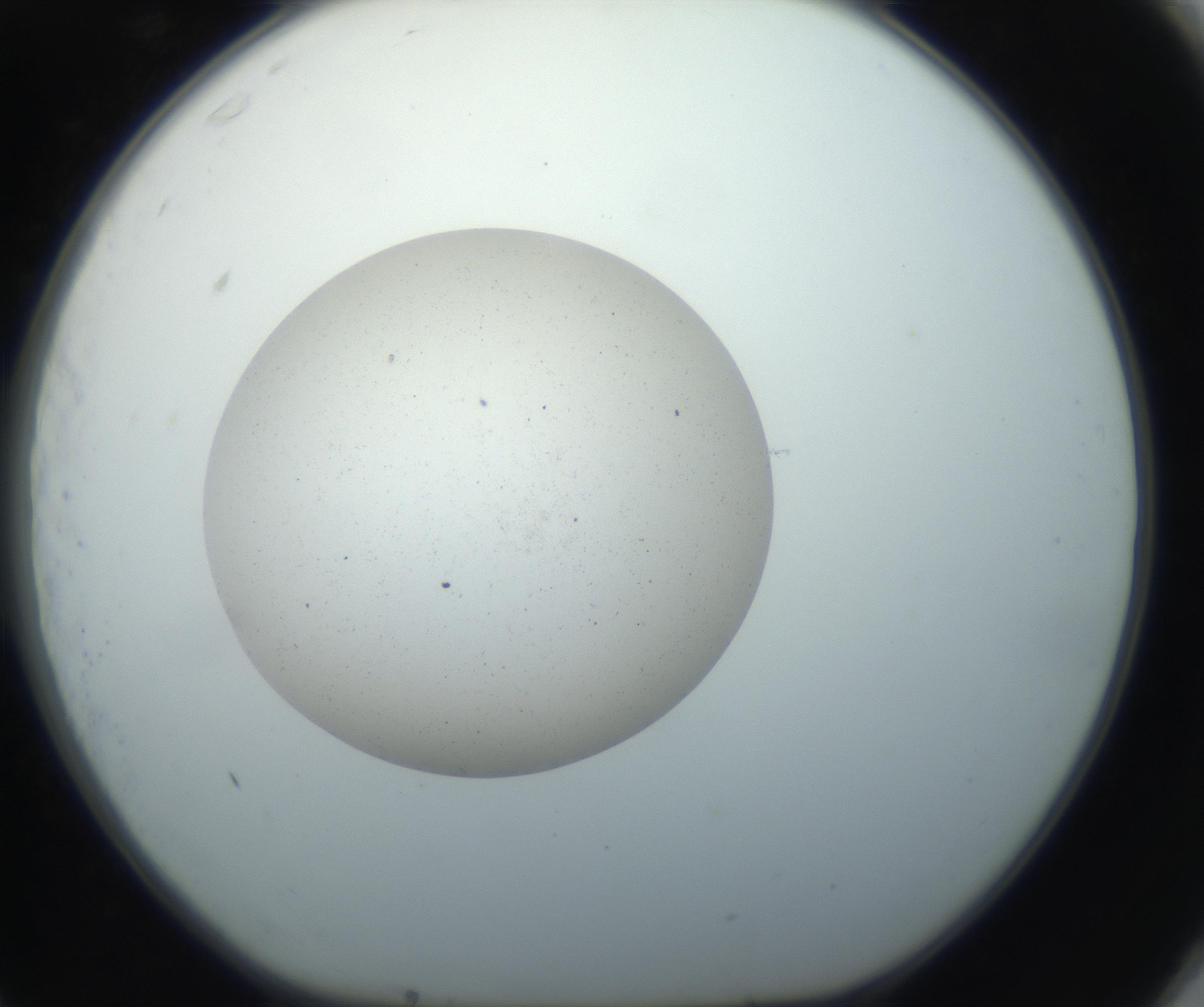 RI01_03_000_0212_Proj1_Clon1_MC_0000MC102733_003_160921_11_07_01_00_99_002_001_RAI.jpg
