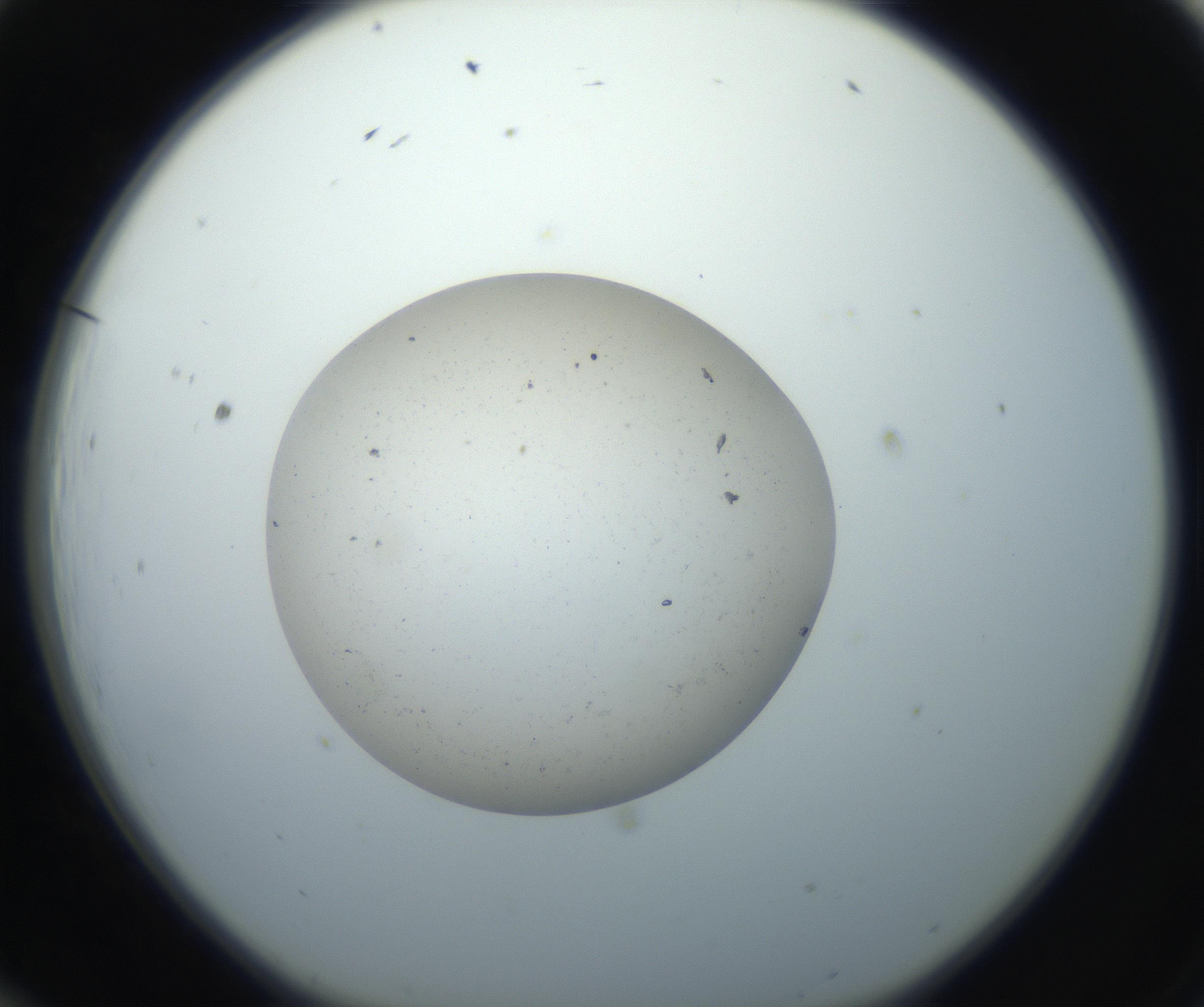 RI01_03_000_0212_Proj1_Clon1_MC_0000MC102733_003_160921_12_01_01_00_99_002_001_RAI.jpg