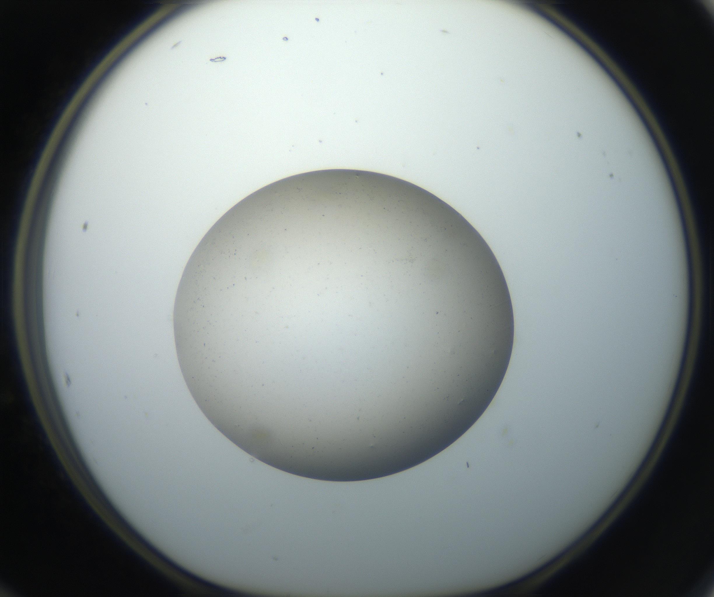 RI01_03_000_0212_Proj1_Clon1_MC_0000MC102733_003_160921_12_05_01_00_99_002_001_RAI.jpg