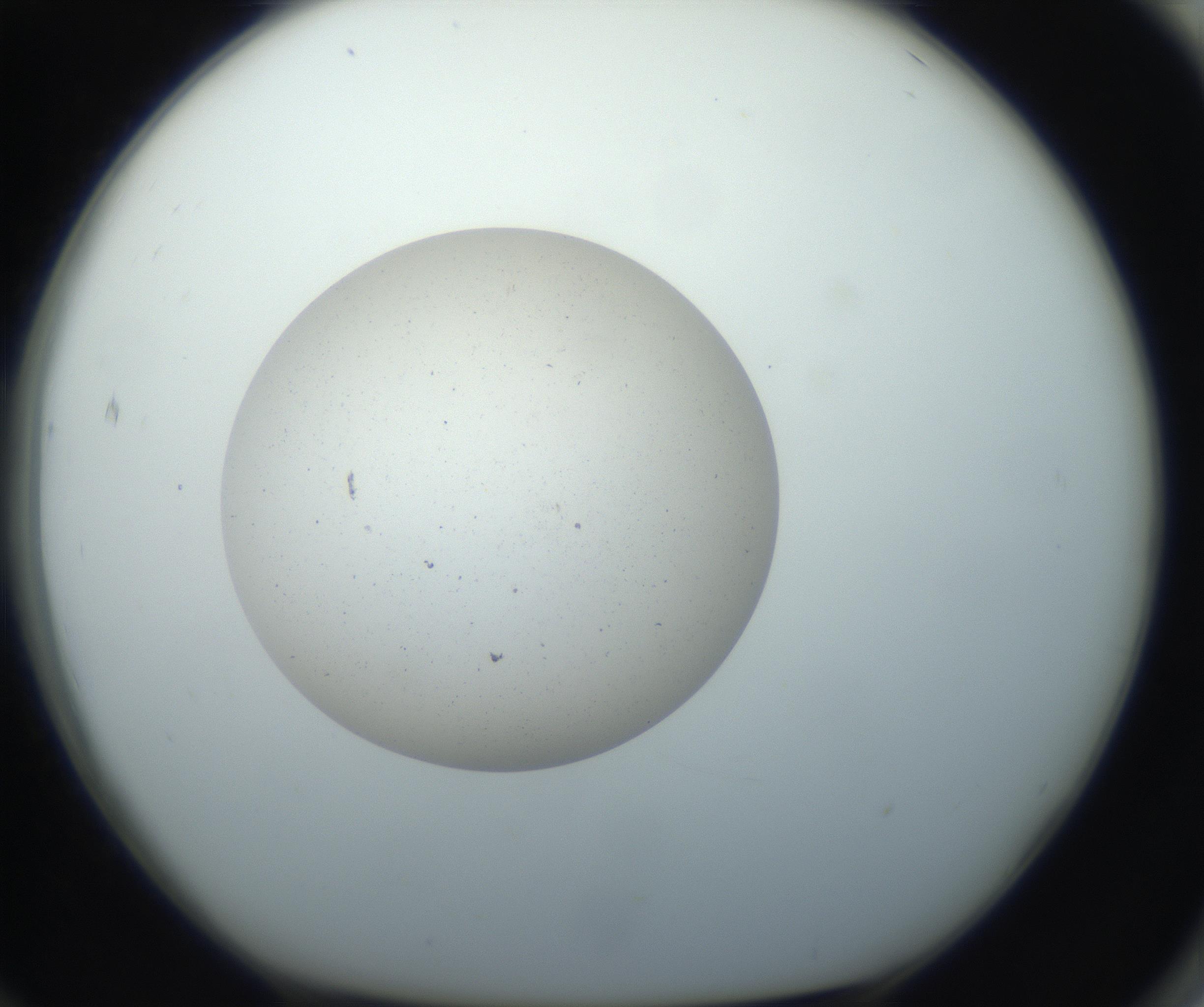 RI01_03_000_0212_Proj1_Clon1_MC_0000MC102733_003_160921_12_07_01_00_99_002_001_RAI.jpg