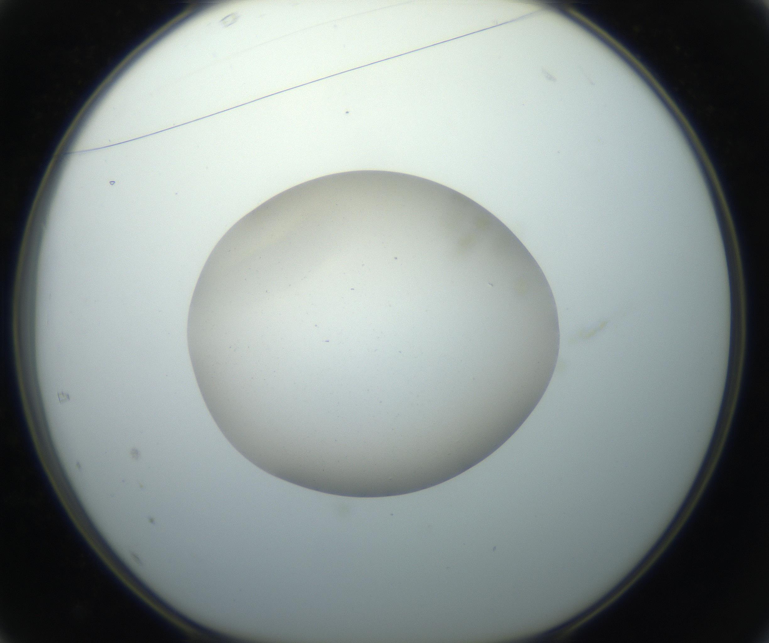 RI01_03_000_0212_Proj1_Clon1_MC_0000MC102733_004_160921_01_04_01_00_99_002_001_RAI.jpg
