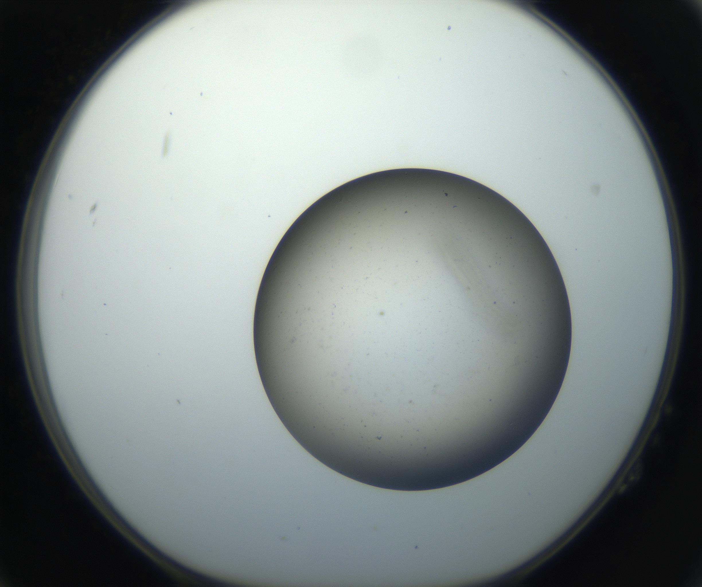 RI01_03_000_0212_Proj1_Clon1_MC_0000MC102733_004_160921_02_02_01_00_99_002_001_RAI.jpg