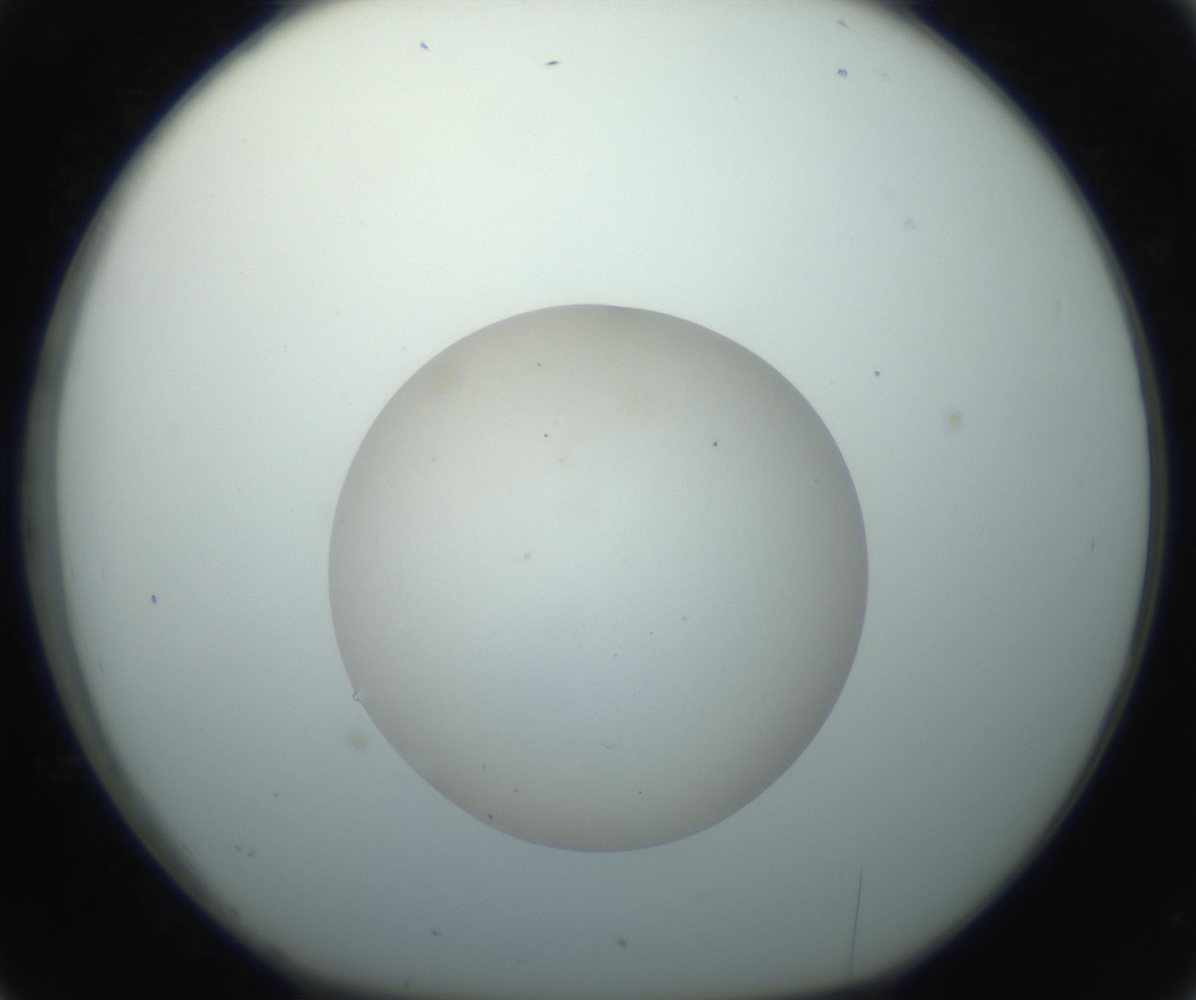 RI01_03_000_0212_Proj1_Clon1_MC_0000MC102733_004_160921_02_03_01_00_99_002_001_RAI.jpg