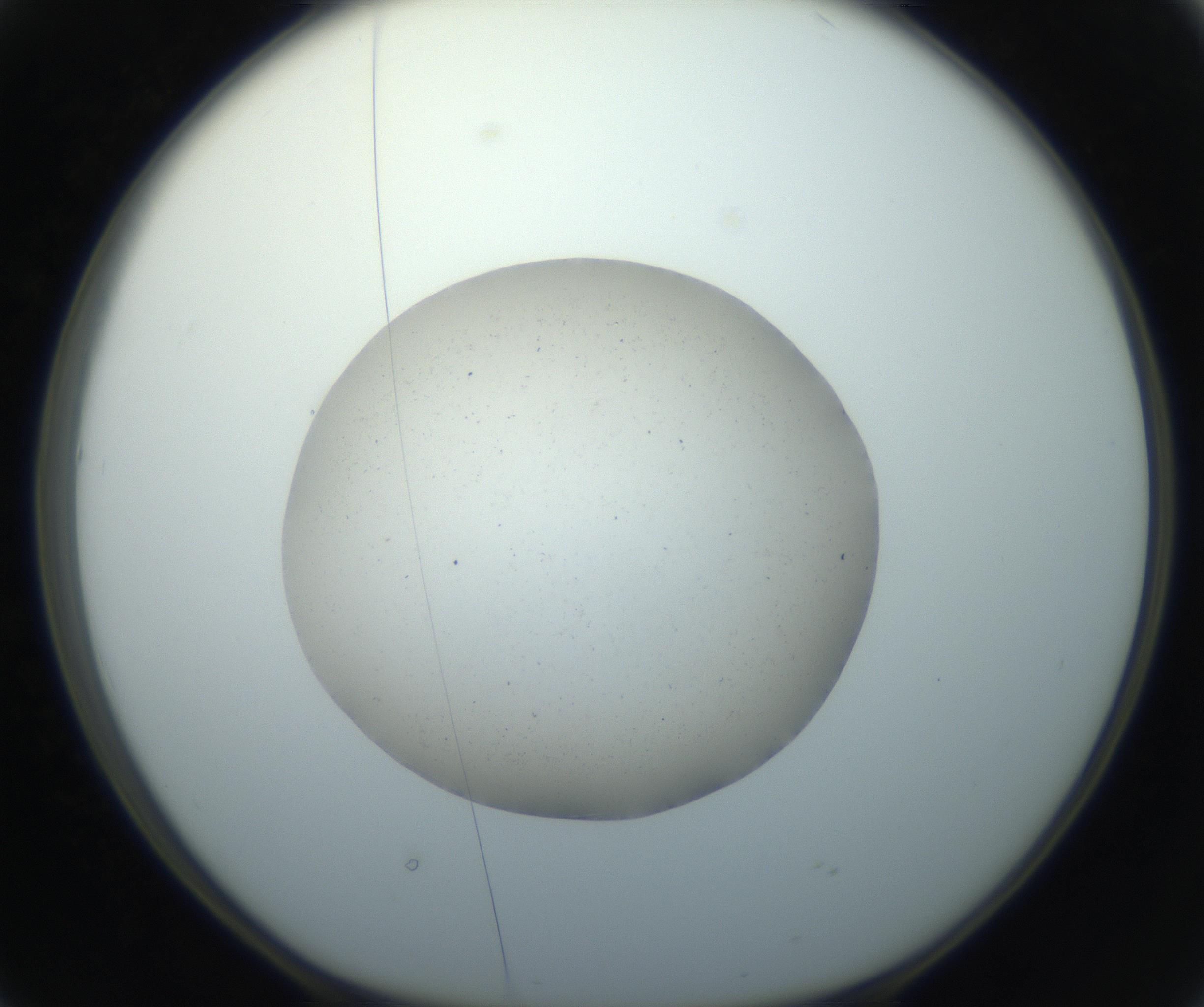 RI01_03_000_0212_Proj1_Clon1_MC_0000MC102733_004_160921_02_04_01_00_99_002_001_RAI.jpg