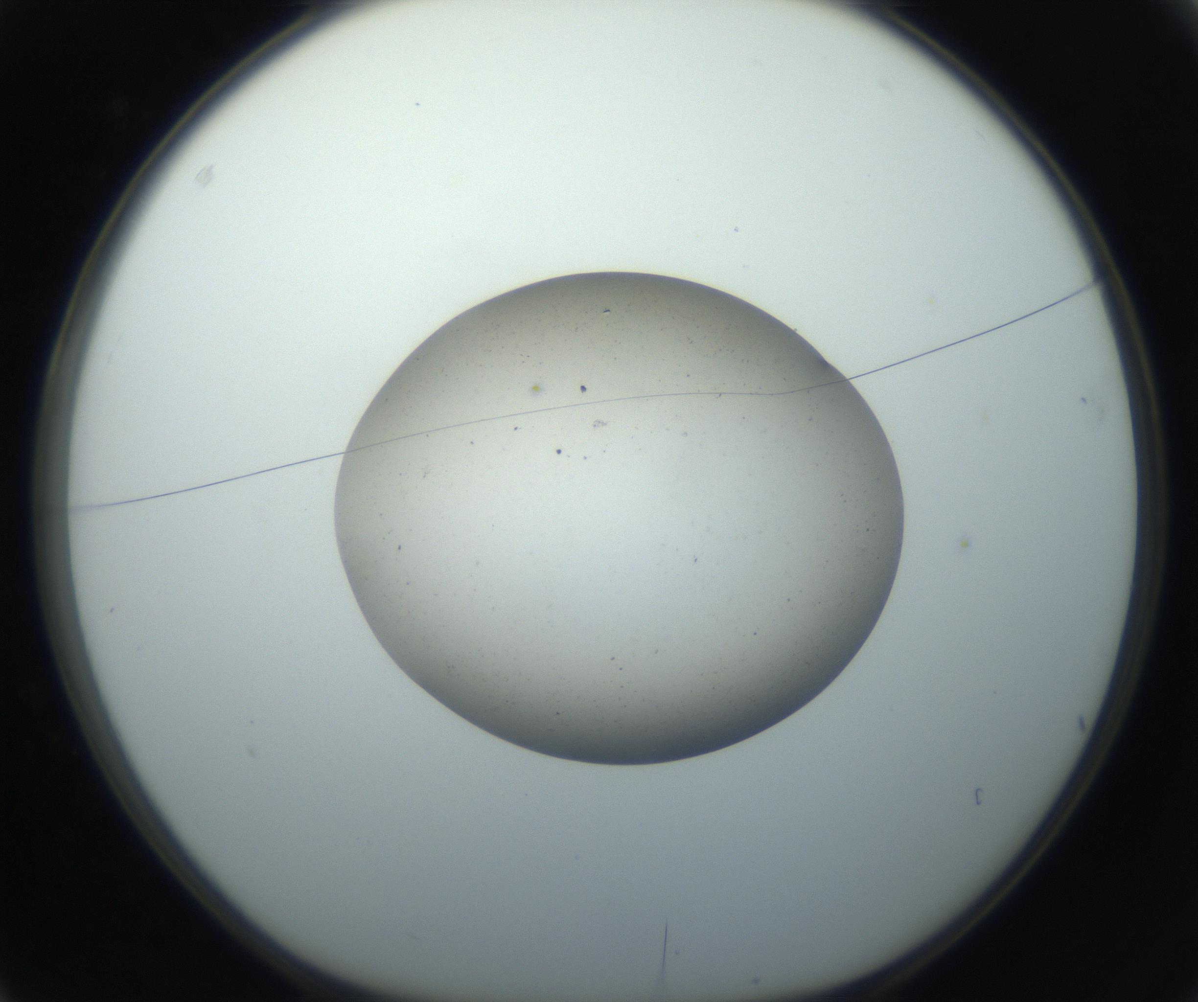 RI01_03_000_0212_Proj1_Clon1_MC_0000MC102733_004_160921_03_01_01_00_99_002_001_RAI.jpg