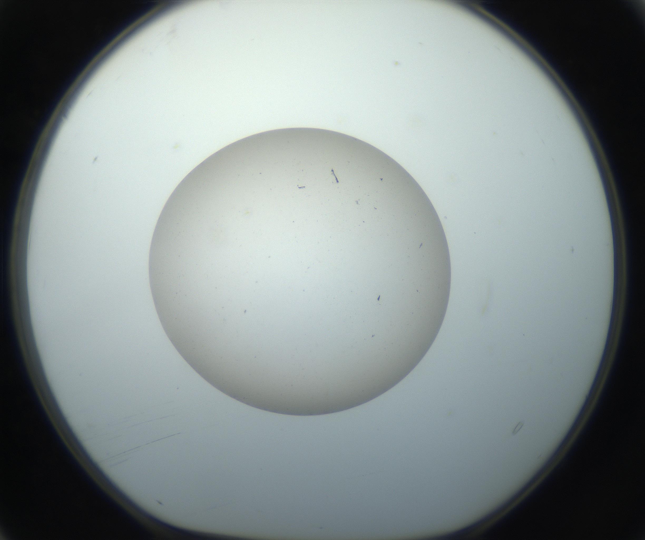 RI01_03_000_0212_Proj1_Clon1_MC_0000MC102733_004_160921_04_01_01_00_99_002_001_RAI.jpg
