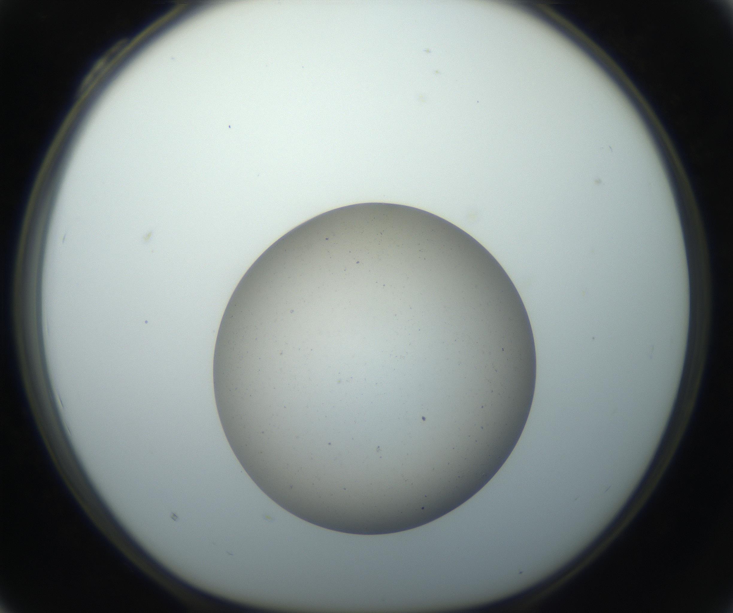 RI01_03_000_0212_Proj1_Clon1_MC_0000MC102733_004_160921_04_03_01_00_99_002_001_RAI.jpg