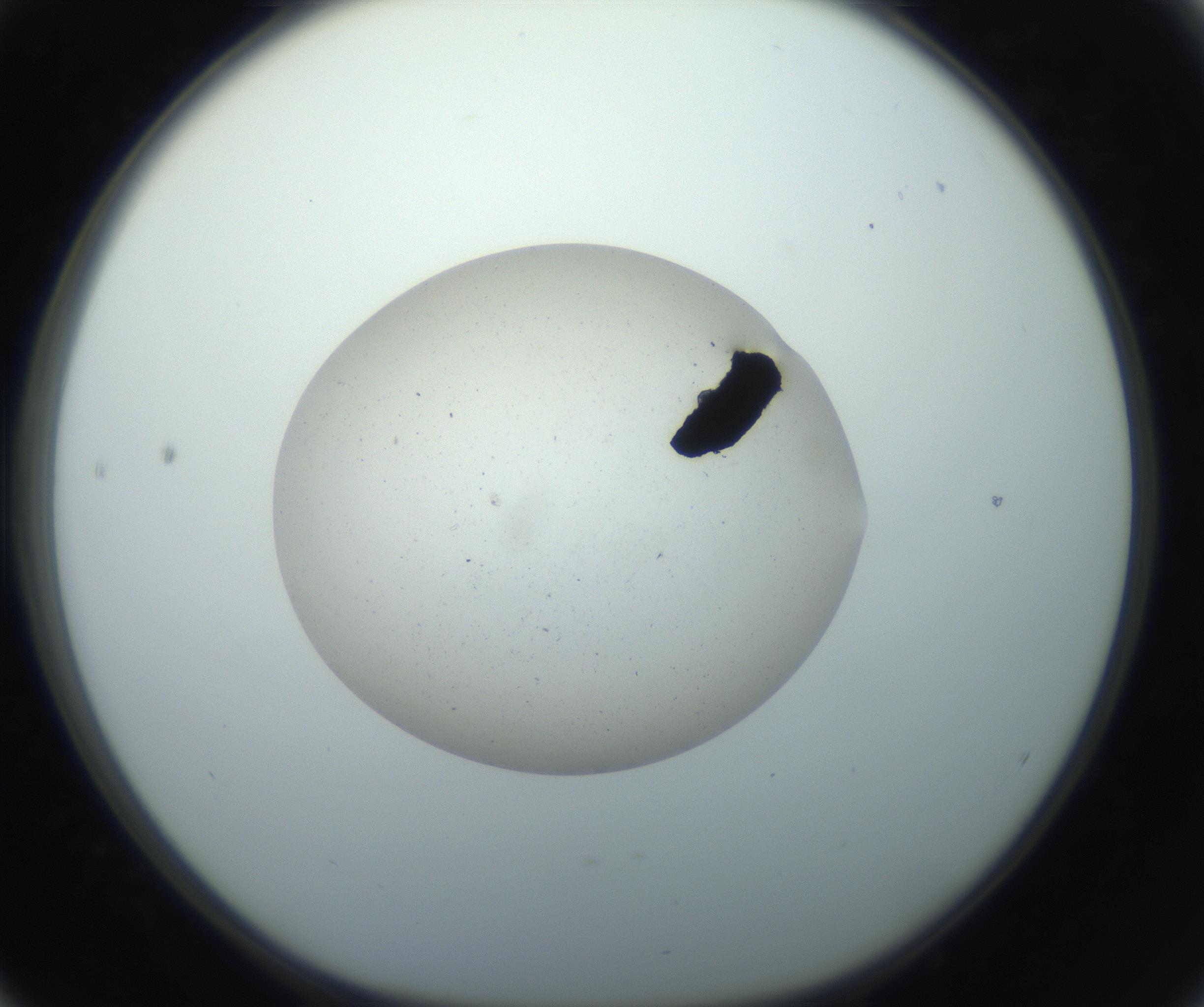 RI01_03_000_0212_Proj1_Clon1_MC_0000MC102733_004_160921_04_05_01_00_99_002_001_RAI.jpg