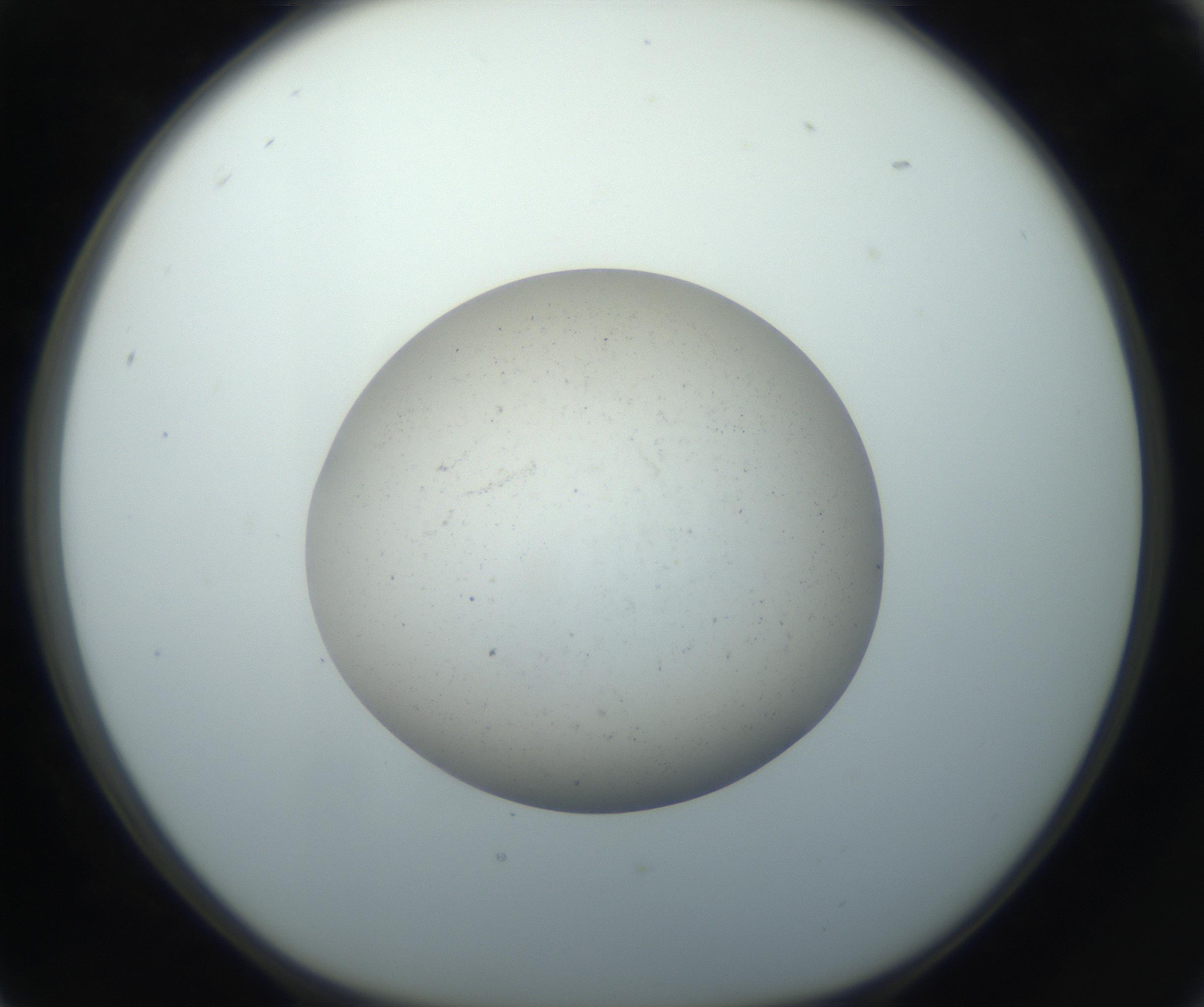 RI01_03_000_0212_Proj1_Clon1_MC_0000MC102733_004_160921_05_02_01_00_99_002_001_RAI.jpg