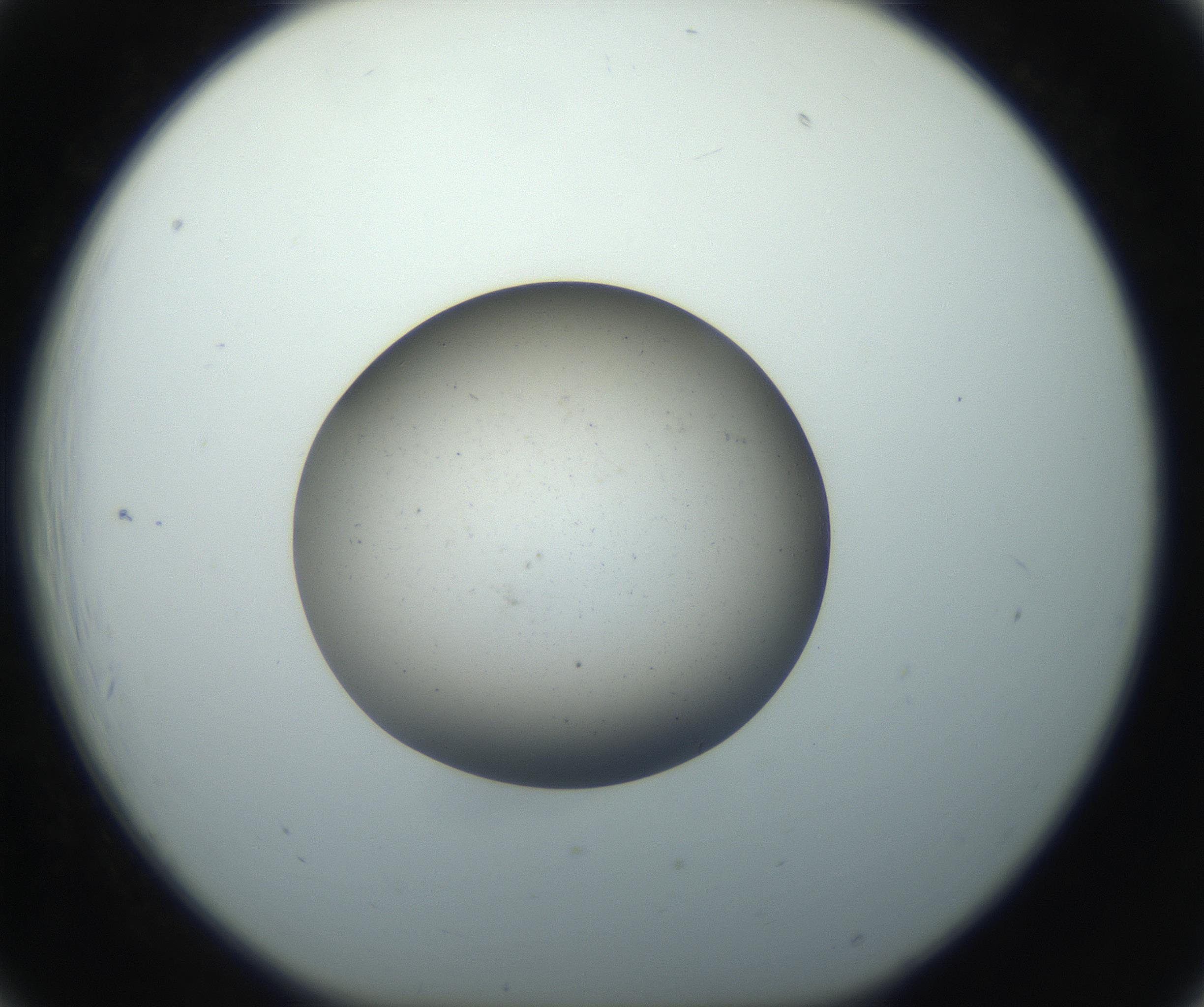 RI01_03_000_0212_Proj1_Clon1_MC_0000MC102733_004_160921_06_02_01_00_99_002_001_RAI.jpg