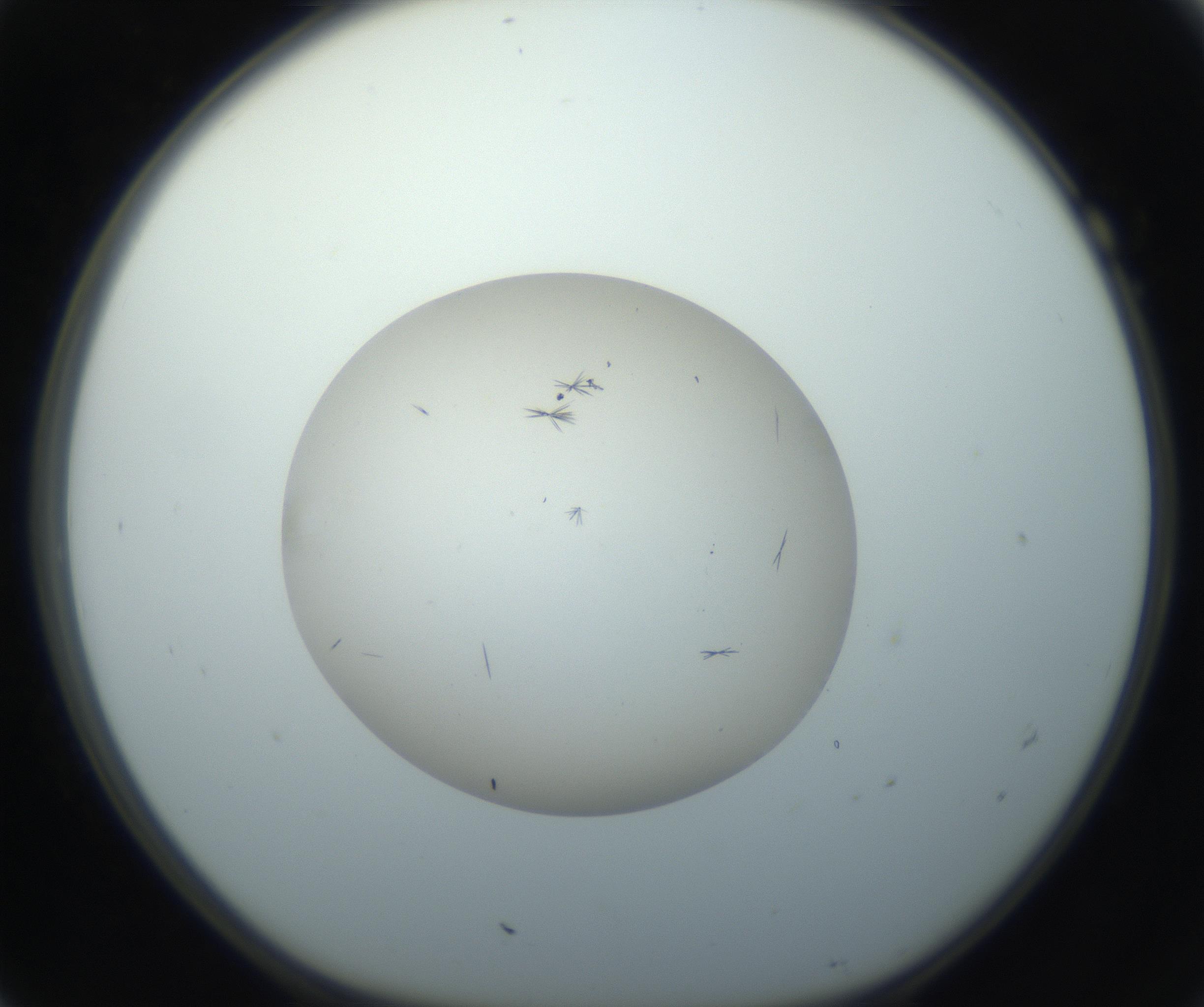 RI01_03_000_0212_Proj1_Clon1_MC_0000MC102733_004_160921_07_01_01_00_99_002_001_RAI.jpg
