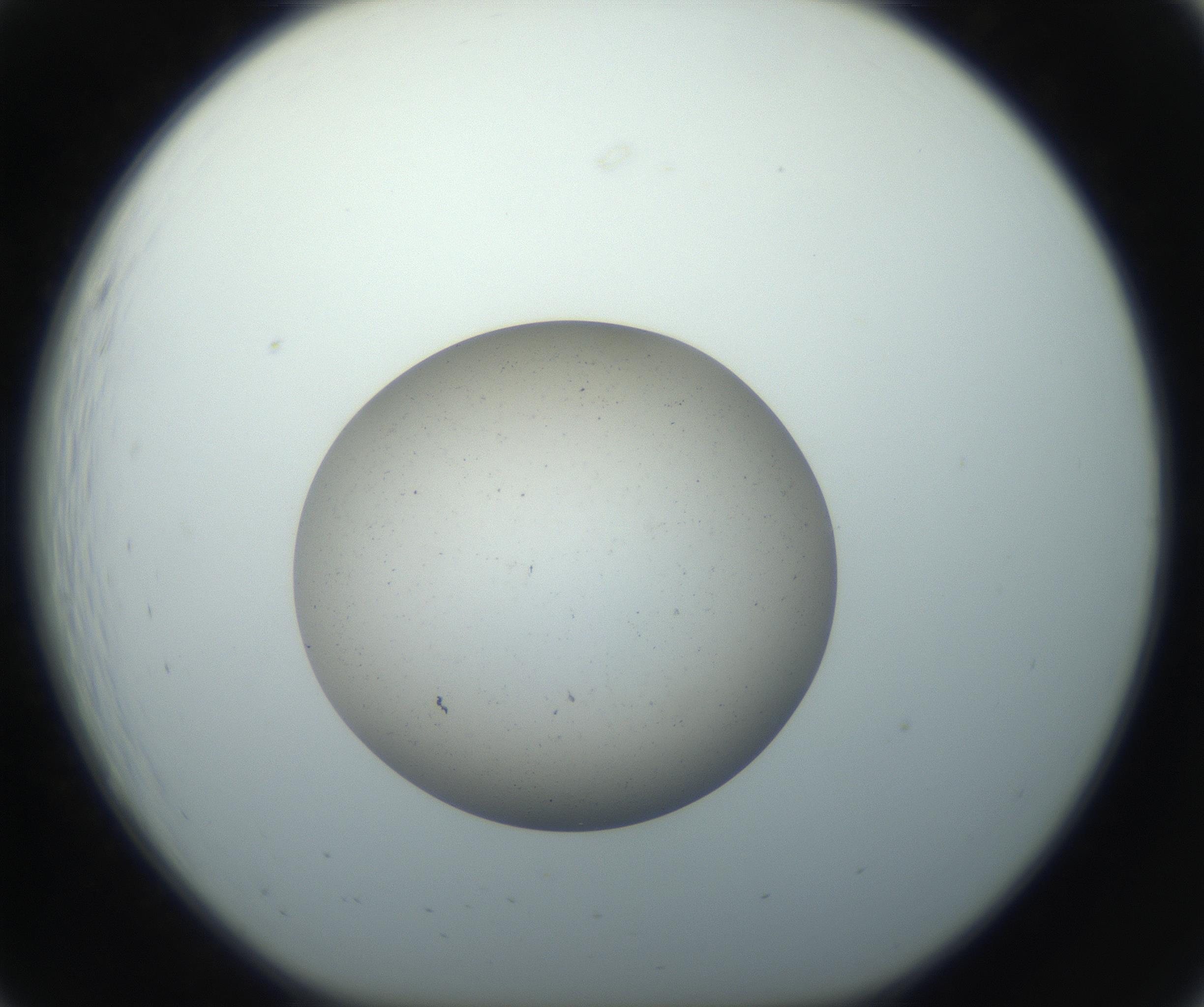 RI01_03_000_0212_Proj1_Clon1_MC_0000MC102733_004_160921_07_02_01_00_99_002_001_RAI.jpg