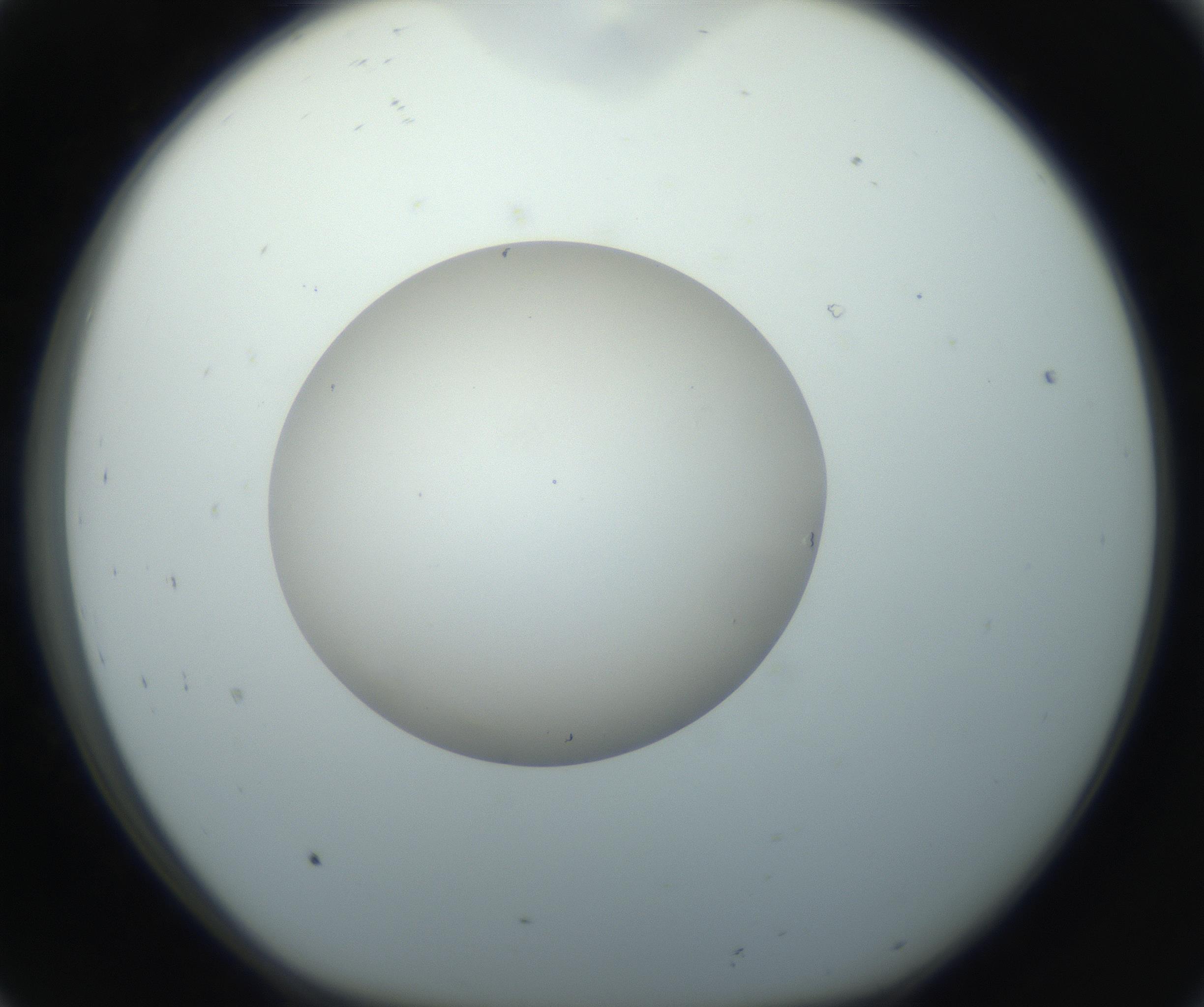 RI01_03_000_0212_Proj1_Clon1_MC_0000MC102733_004_160921_08_01_01_00_99_002_001_RAI.jpg