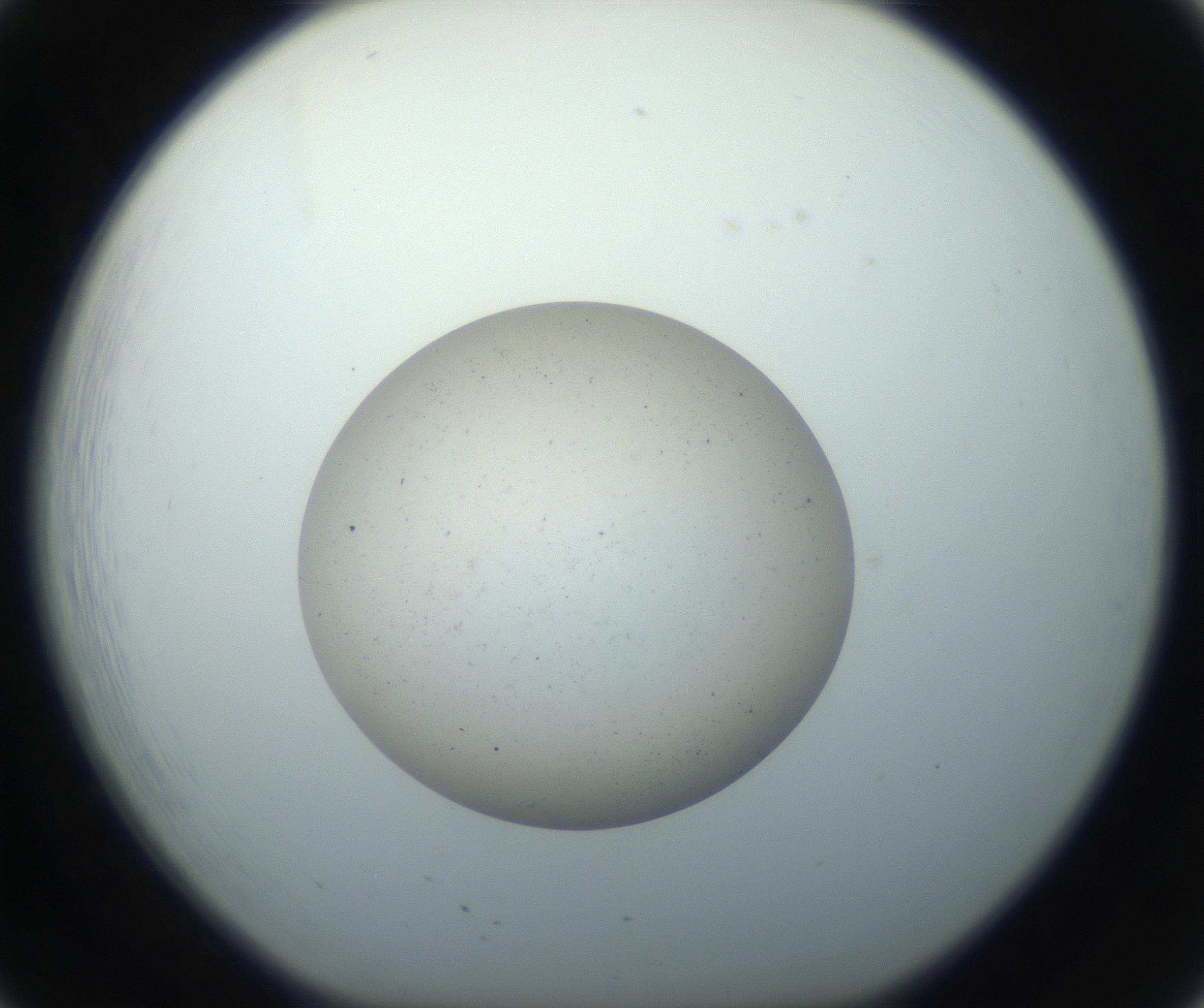 RI01_03_000_0212_Proj1_Clon1_MC_0000MC102733_004_160921_08_02_01_00_99_002_001_RAI.jpg