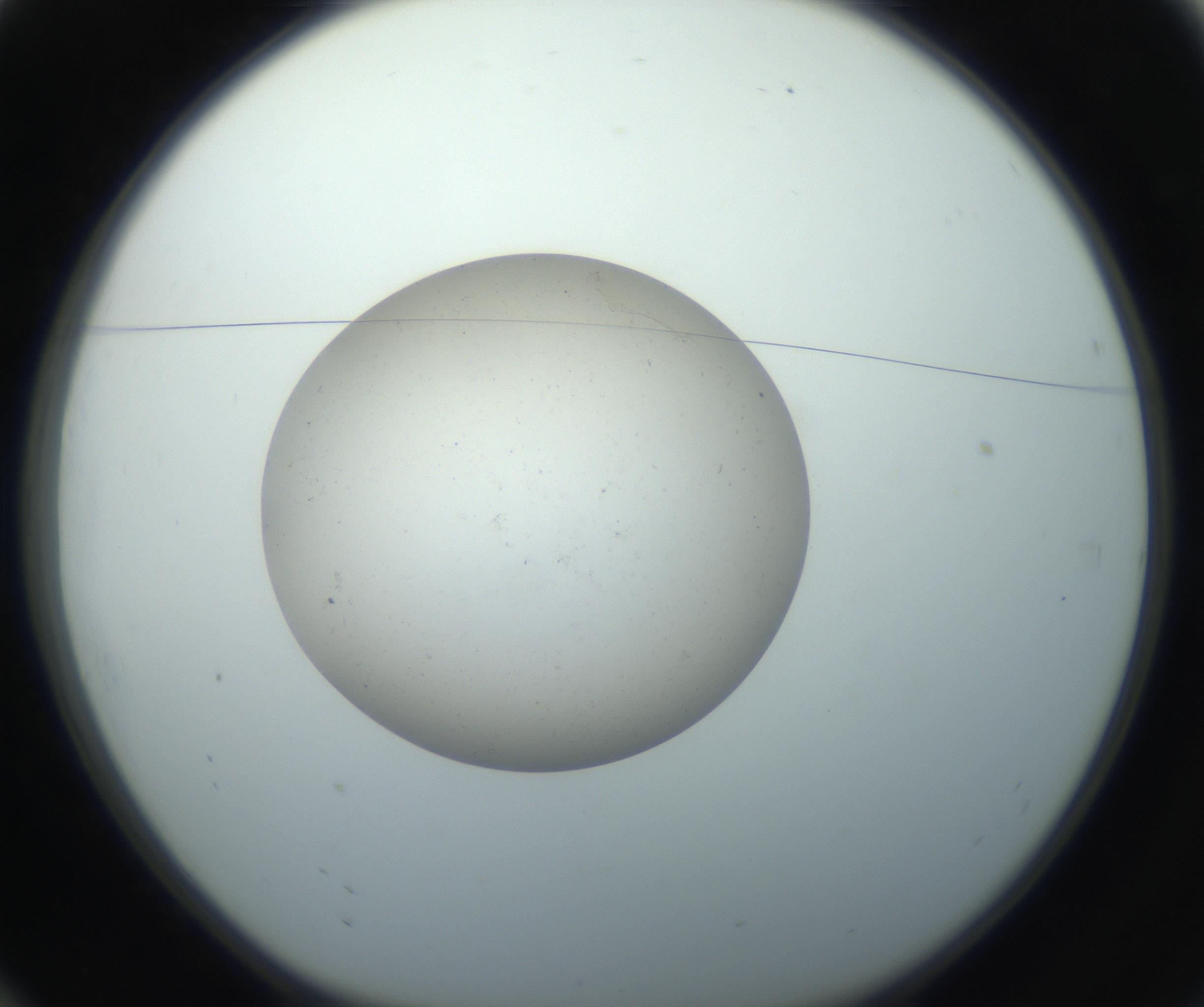 RI01_03_000_0212_Proj1_Clon1_MC_0000MC102733_004_160921_10_01_01_00_99_002_001_RAI.jpg