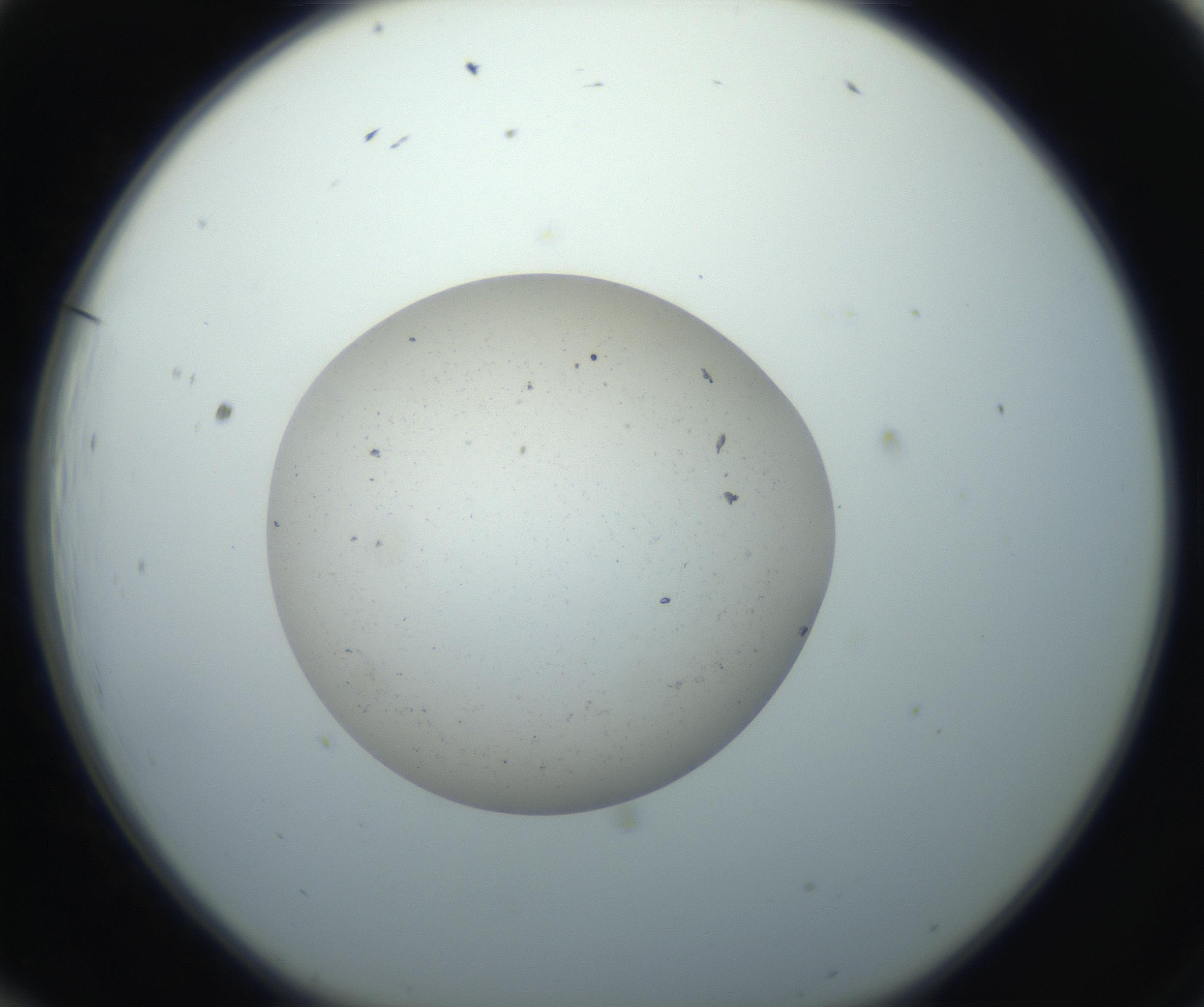 RI01_03_000_0212_Proj1_Clon1_MC_0000MC102733_004_160921_12_01_01_00_99_002_001_RAI.jpg