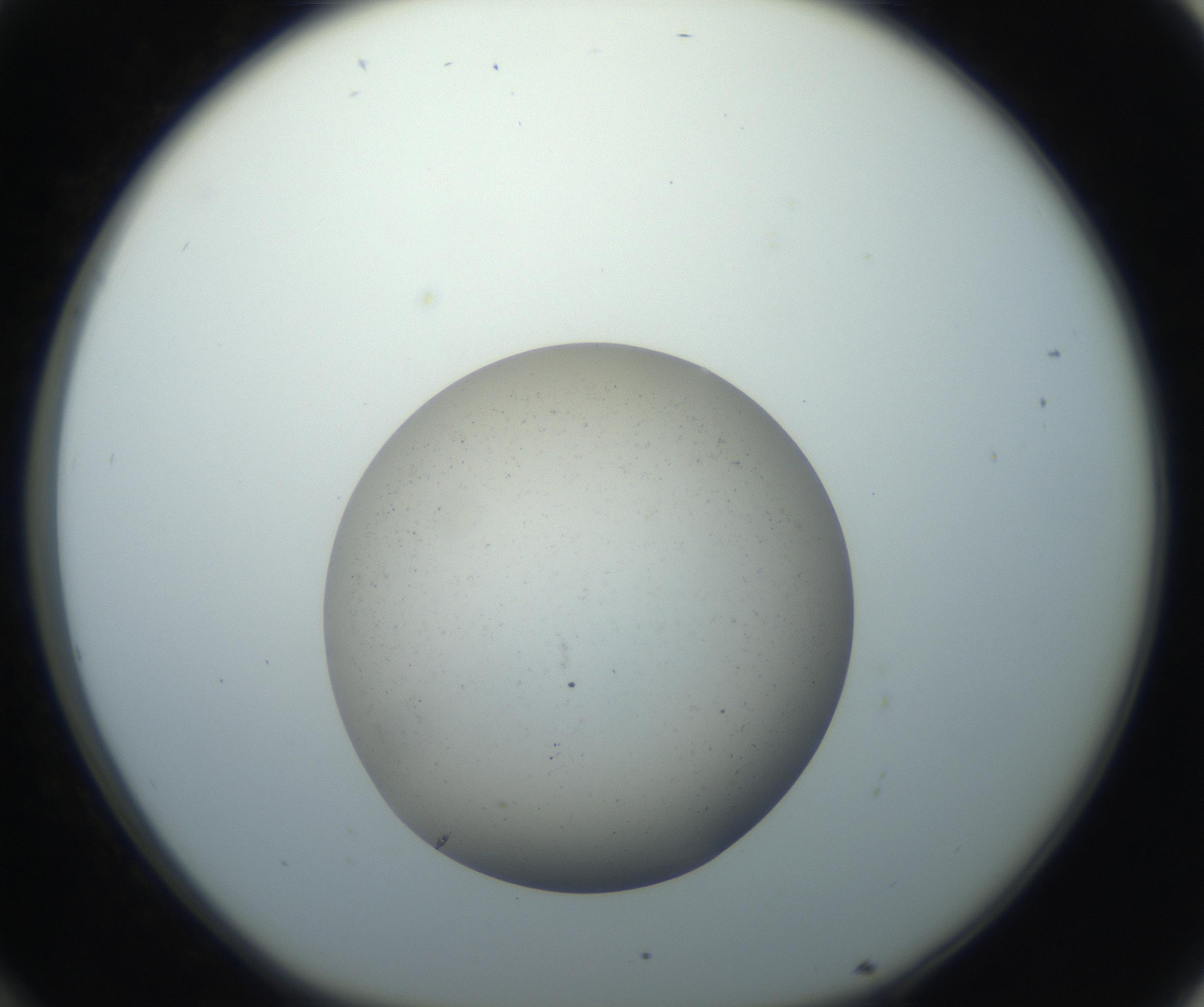 RI01_03_000_0212_Proj1_Clon1_MC_0000MC102733_004_160921_12_03_01_00_99_002_001_RAI.jpg