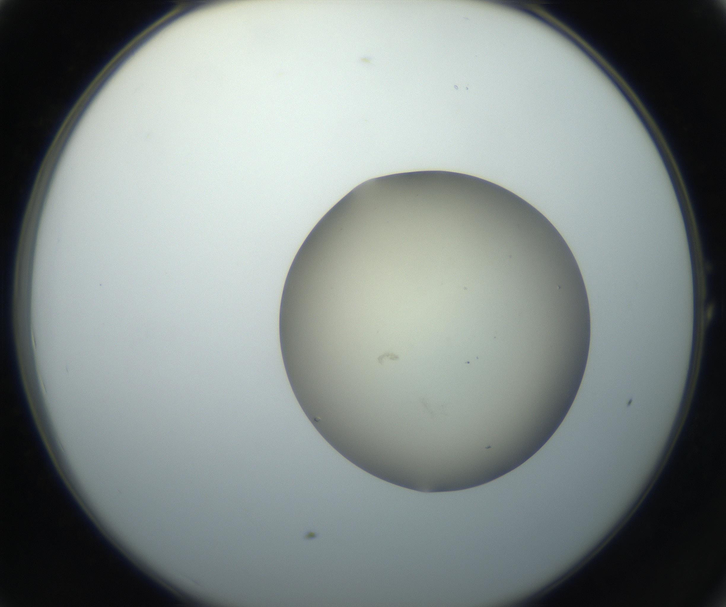 RI01_03_000_0212_Proj1_Clon1_MC_0000MC102735_003_160921_01_01_02_00_99_002_001_RAI.jpg