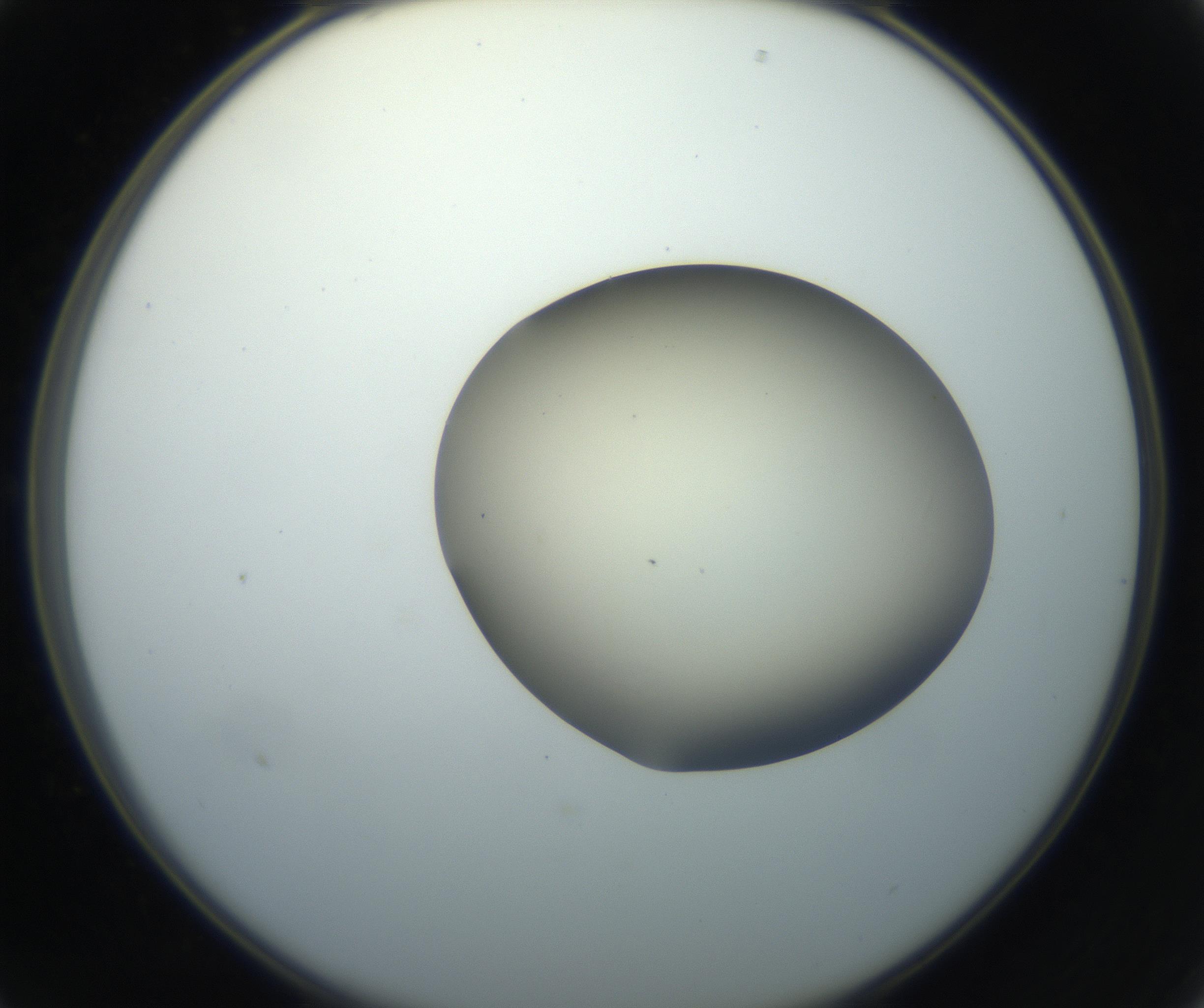 RI01_03_000_0212_Proj1_Clon1_MC_0000MC102735_003_160921_01_02_02_00_99_002_001_RAI.jpg