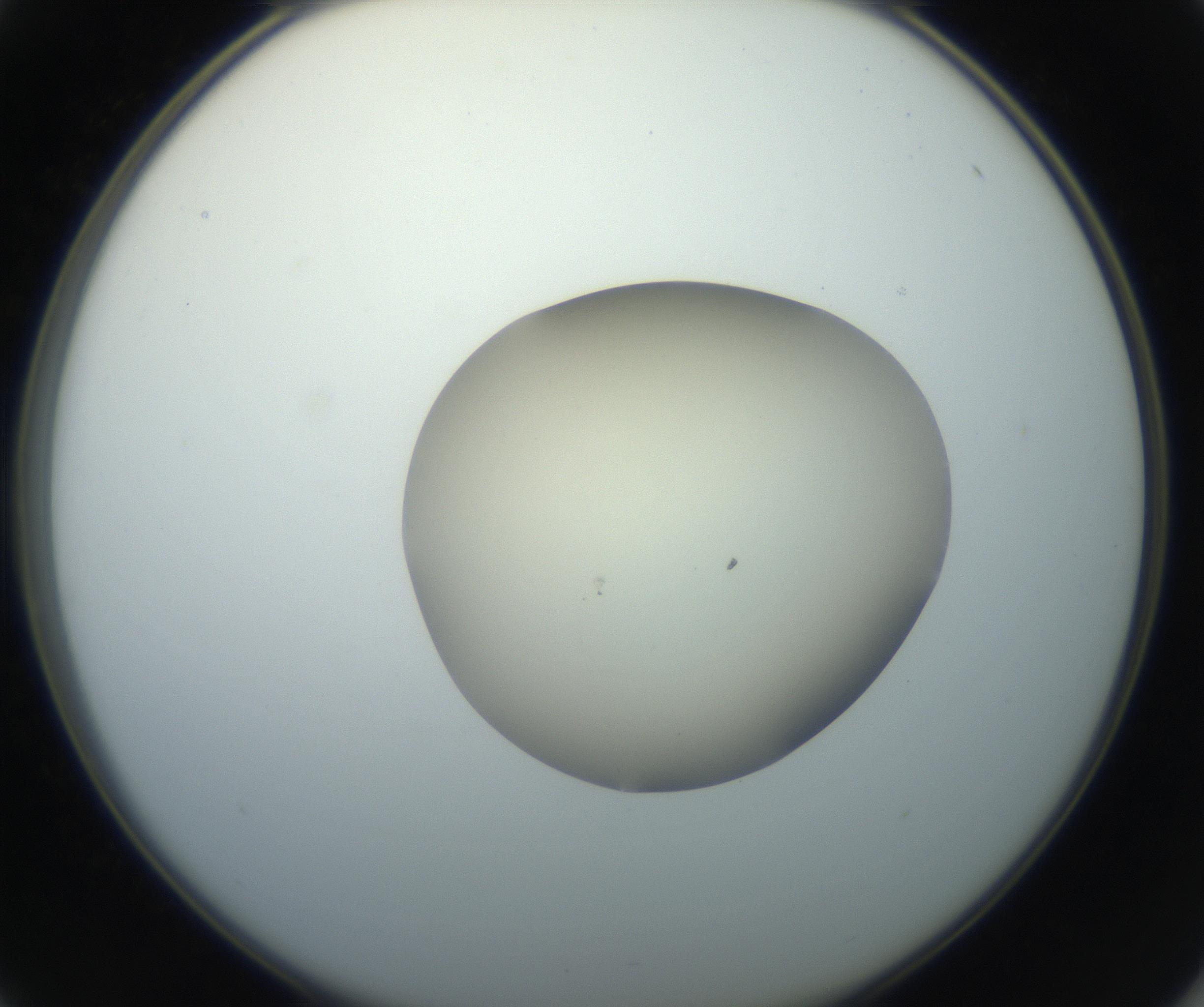 RI01_03_000_0212_Proj1_Clon1_MC_0000MC102735_003_160921_01_04_02_00_99_002_001_RAI.jpg