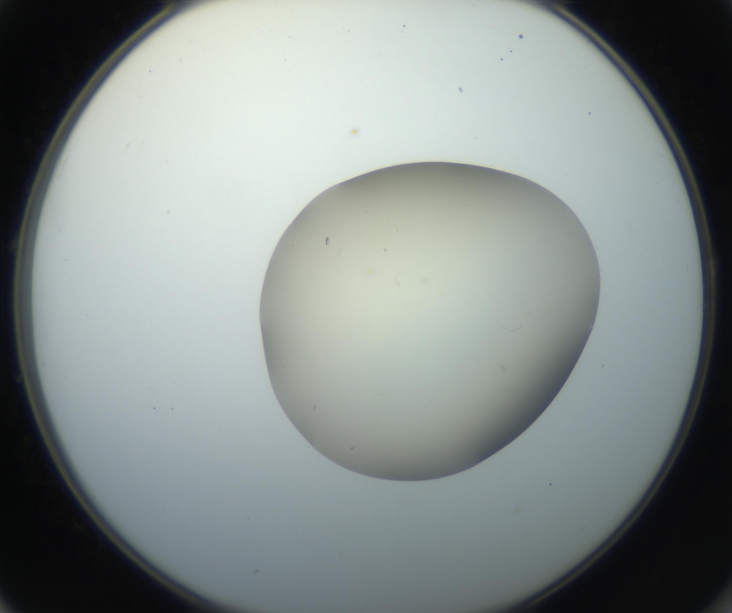 RI01_03_000_0212_Proj1_Clon1_MC_0000MC102735_003_160921_01_05_02_00_99_002_001_RAI.jpg