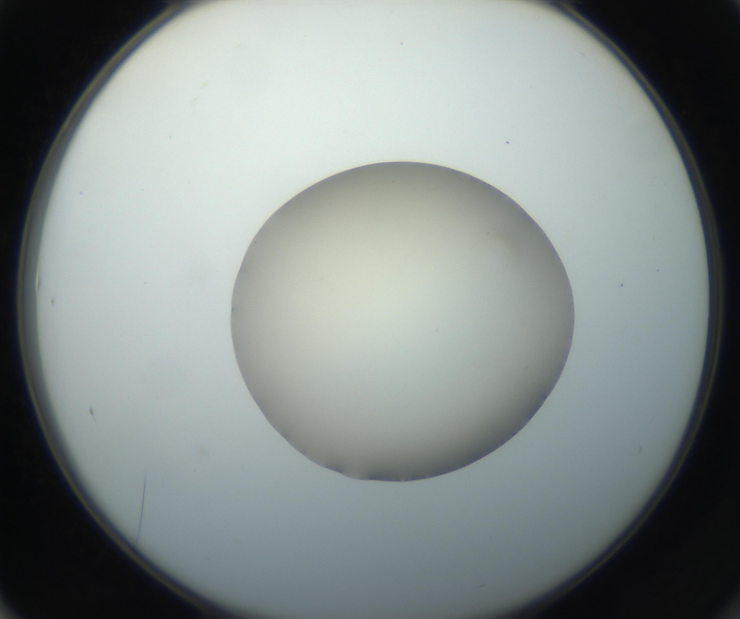 RI01_03_000_0212_Proj1_Clon1_MC_0000MC102735_003_160921_01_06_02_00_99_002_001_RAI.jpg