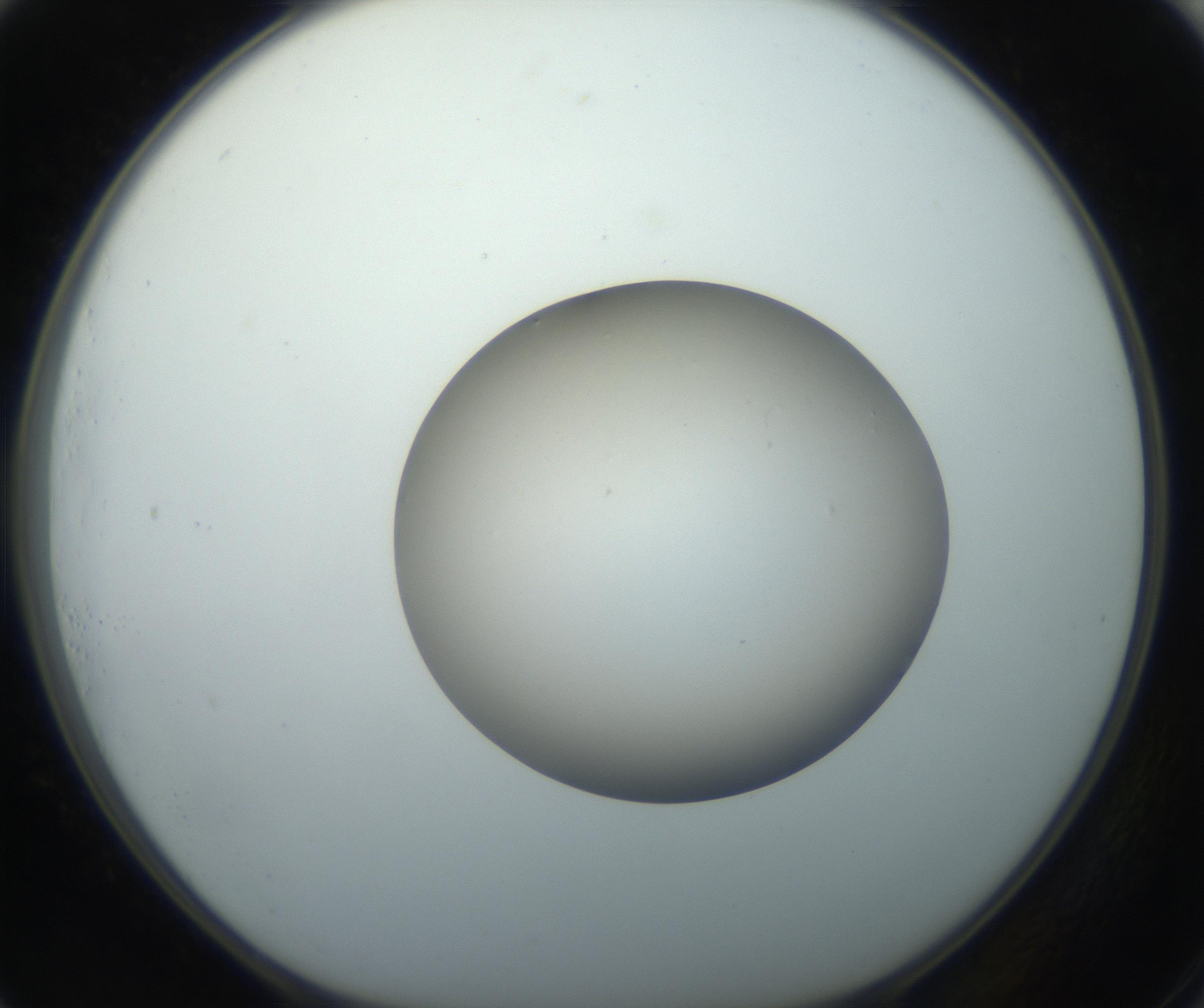 RI01_03_000_0212_Proj1_Clon1_MC_0000MC102735_003_160921_01_07_01_00_99_002_001_RAI.jpg