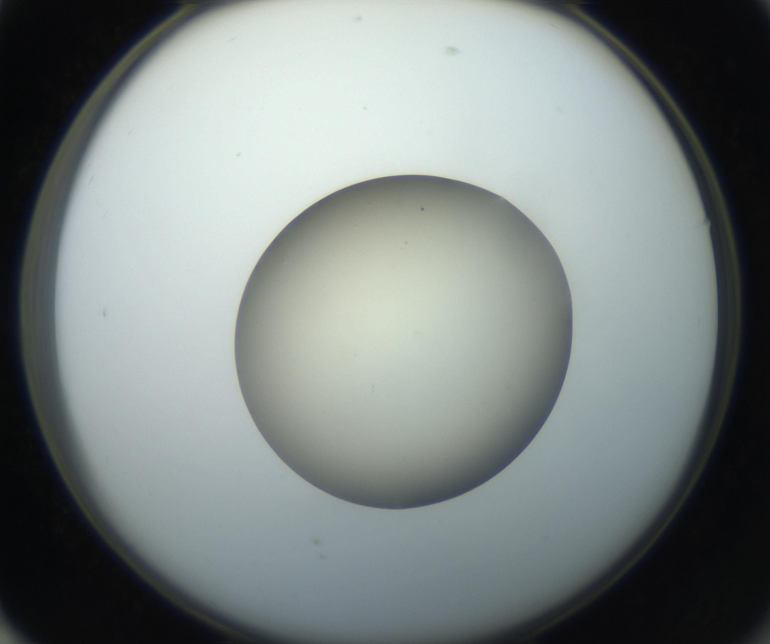 RI01_03_000_0212_Proj1_Clon1_MC_0000MC102735_003_160921_01_07_02_00_99_002_001_RAI.jpg