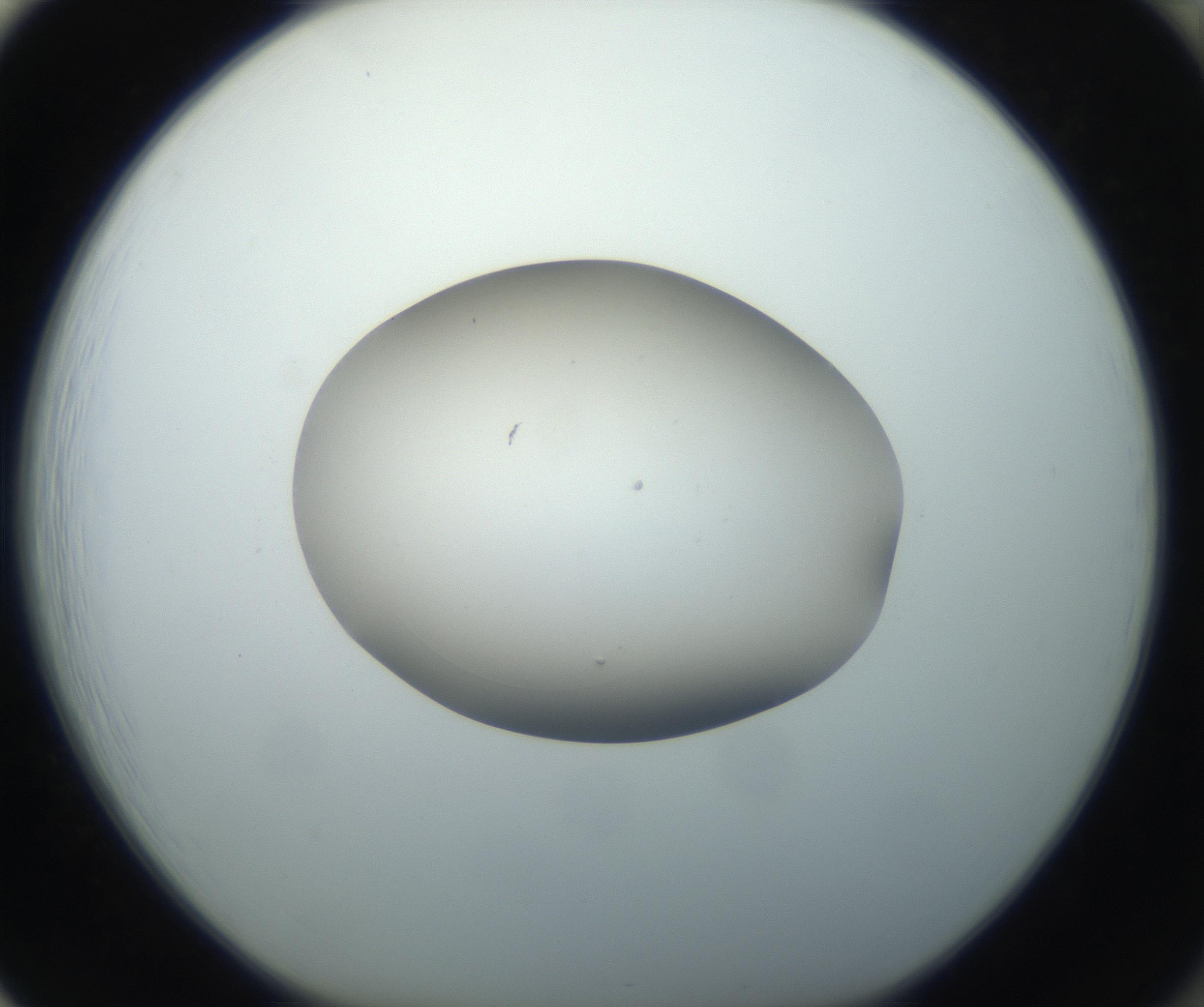RI01_03_000_0212_Proj1_Clon1_MC_0000MC102735_003_160921_01_08_01_00_99_002_001_RAI.jpg