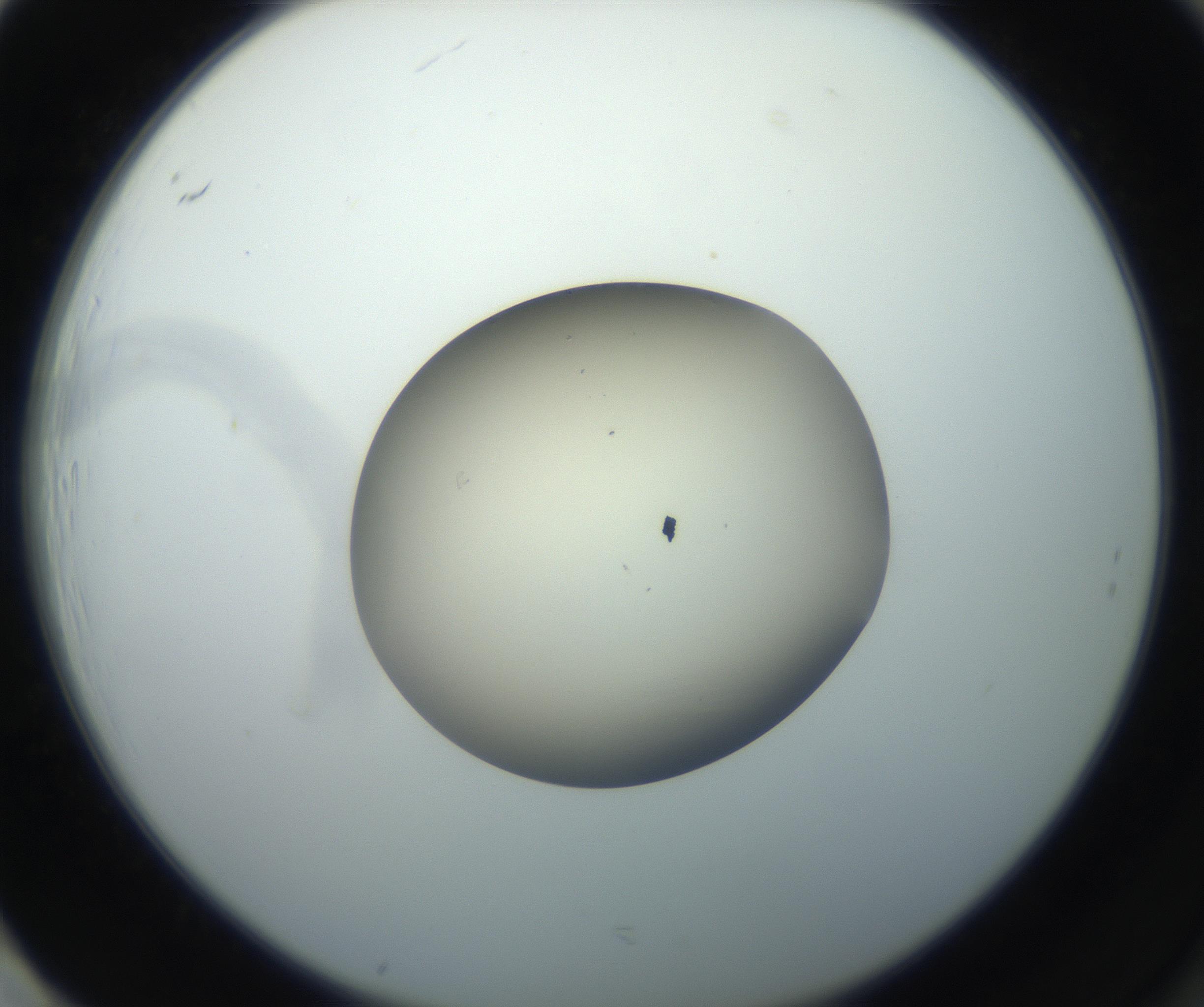 RI01_03_000_0212_Proj1_Clon1_MC_0000MC102735_003_160921_01_08_02_00_99_002_001_RAI.jpg