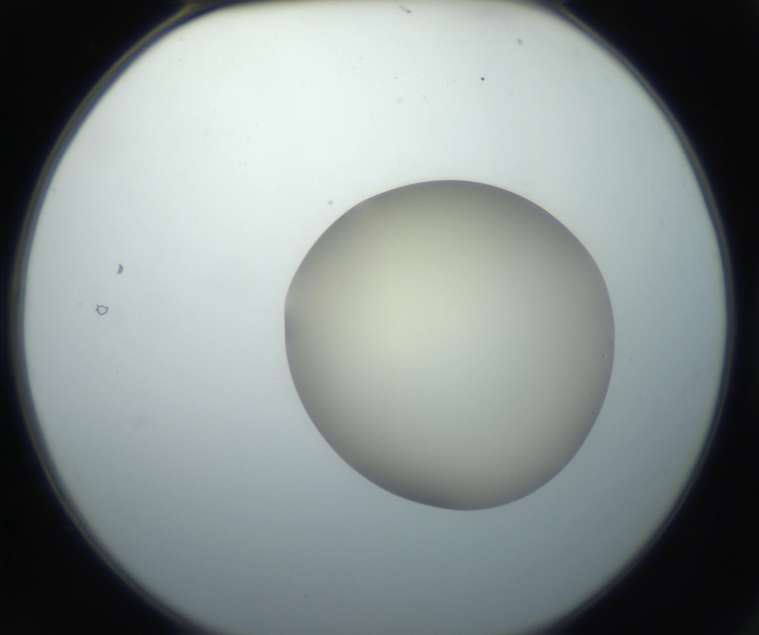 RI01_03_000_0212_Proj1_Clon1_MC_0000MC102735_003_160921_02_01_02_00_99_002_001_RAI.jpg