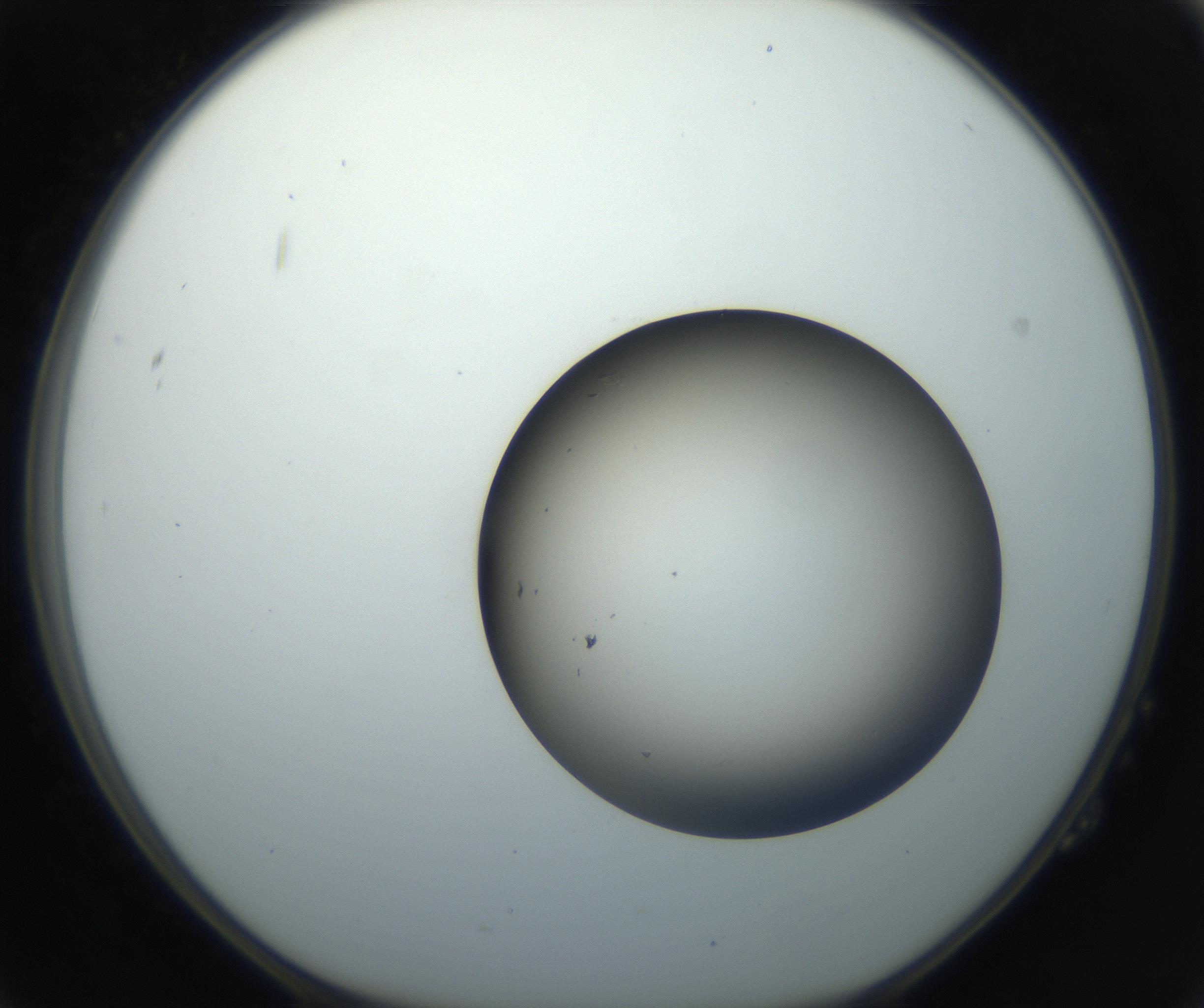 RI01_03_000_0212_Proj1_Clon1_MC_0000MC102735_003_160921_02_02_01_00_99_002_001_RAI.jpg