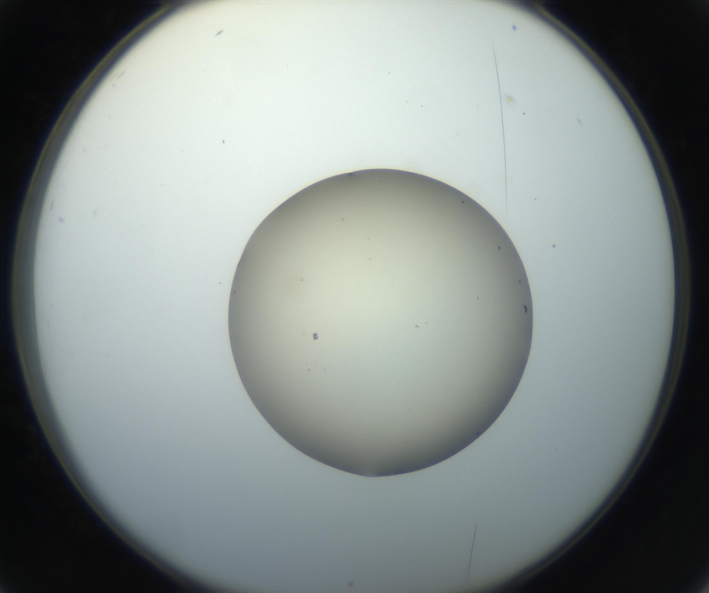 RI01_03_000_0212_Proj1_Clon1_MC_0000MC102735_003_160921_02_03_02_00_99_002_001_RAI.jpg