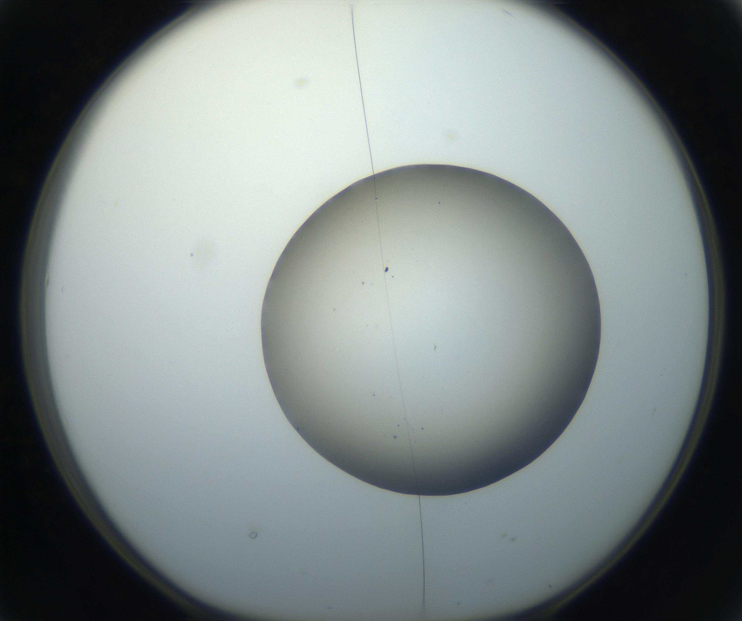RI01_03_000_0212_Proj1_Clon1_MC_0000MC102735_003_160921_02_04_01_00_99_002_001_RAI.jpg