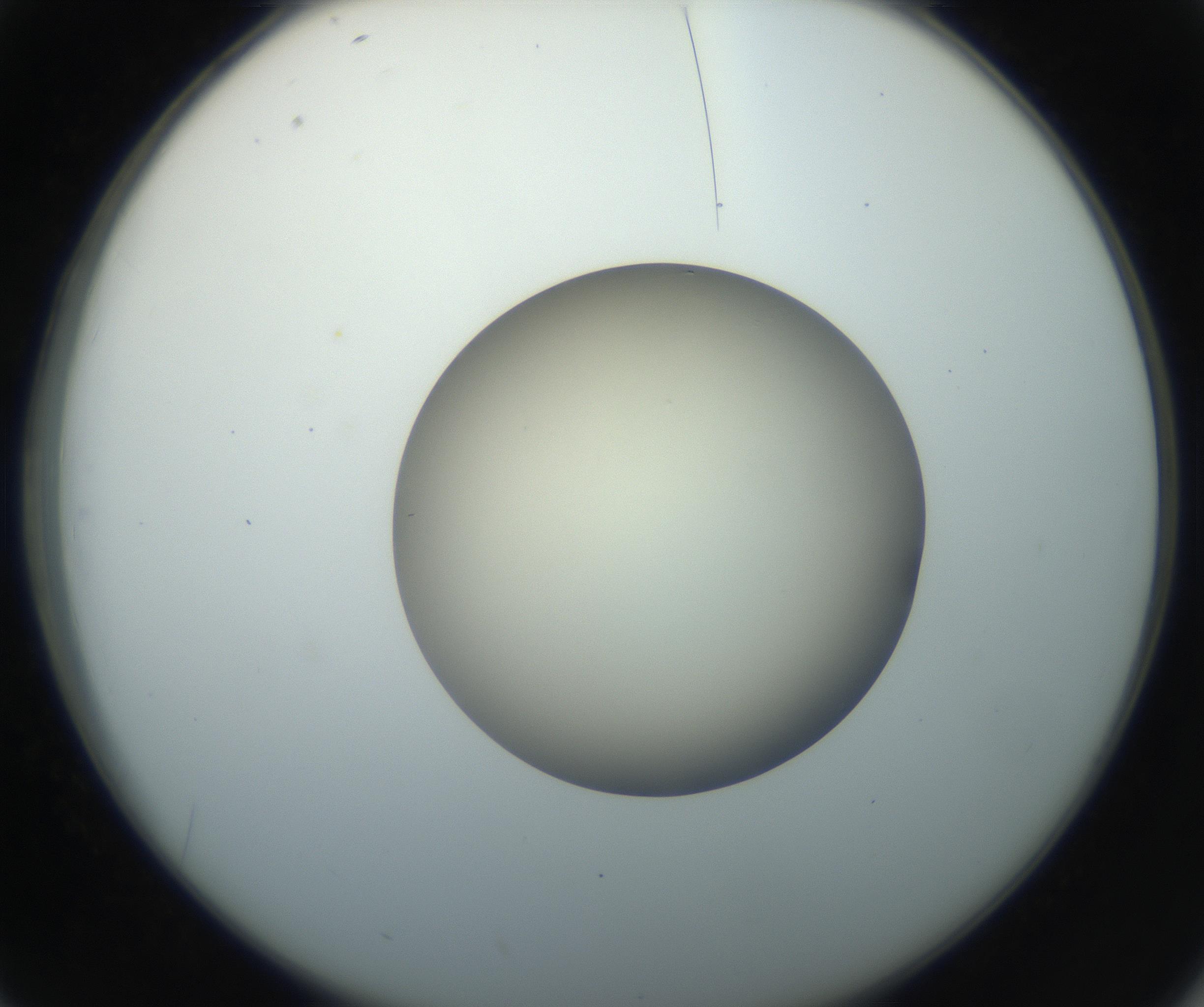RI01_03_000_0212_Proj1_Clon1_MC_0000MC102735_003_160921_02_04_02_00_99_002_001_RAI.jpg
