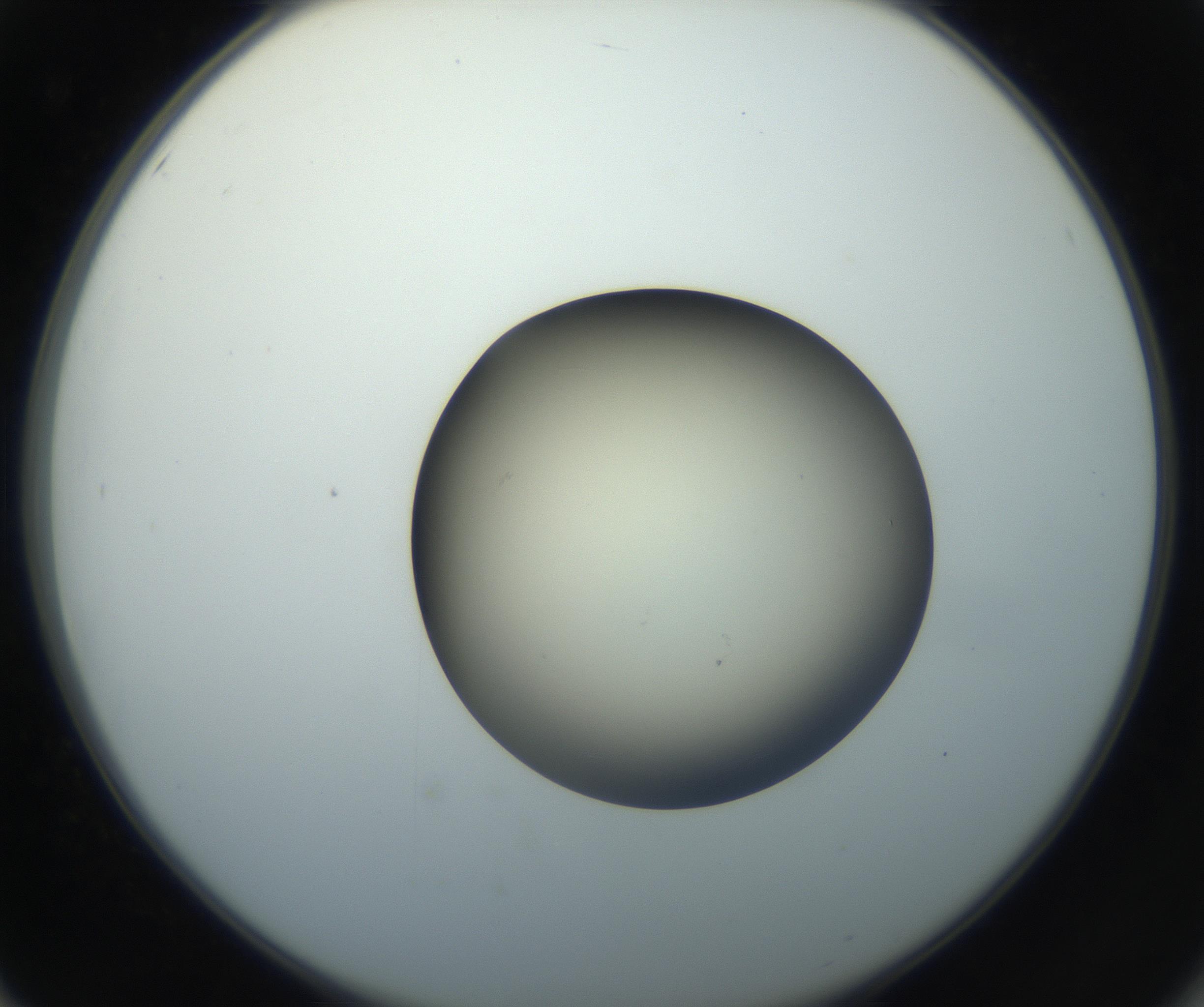 RI01_03_000_0212_Proj1_Clon1_MC_0000MC102735_003_160921_02_05_02_00_99_002_001_RAI.jpg