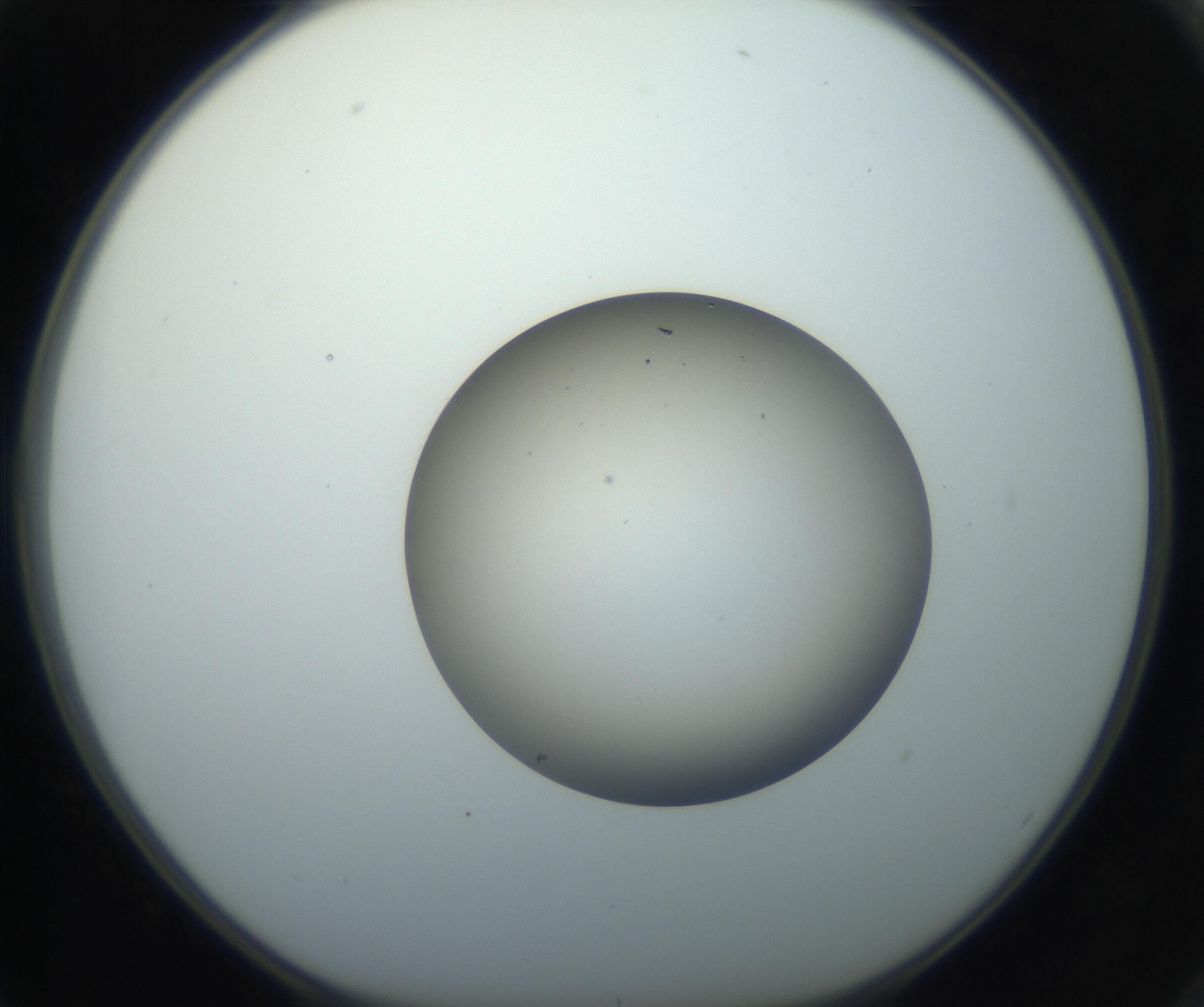 RI01_03_000_0212_Proj1_Clon1_MC_0000MC102735_003_160921_02_06_01_00_99_002_001_RAI.jpg