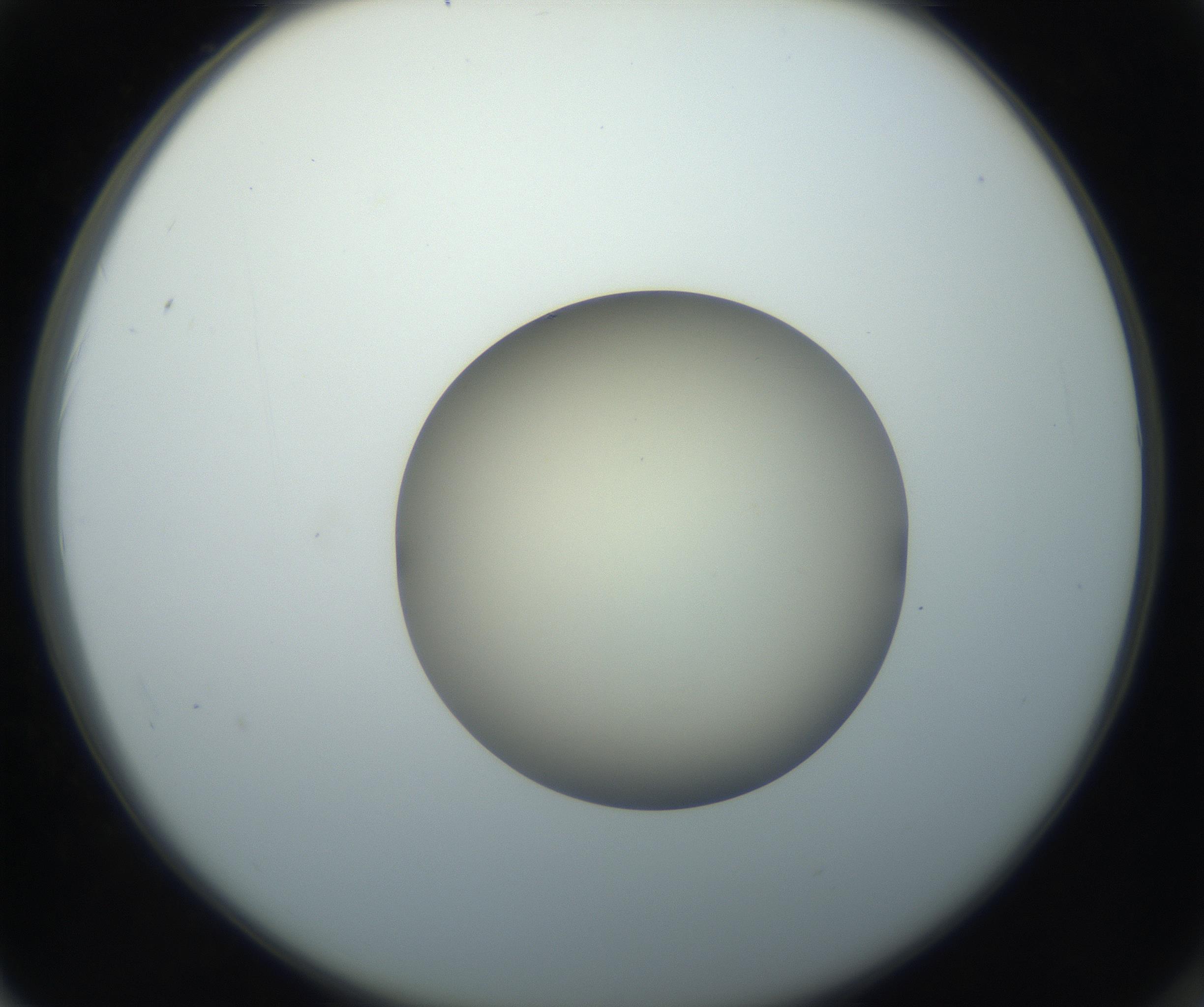 RI01_03_000_0212_Proj1_Clon1_MC_0000MC102735_003_160921_02_06_02_00_99_002_001_RAI.jpg