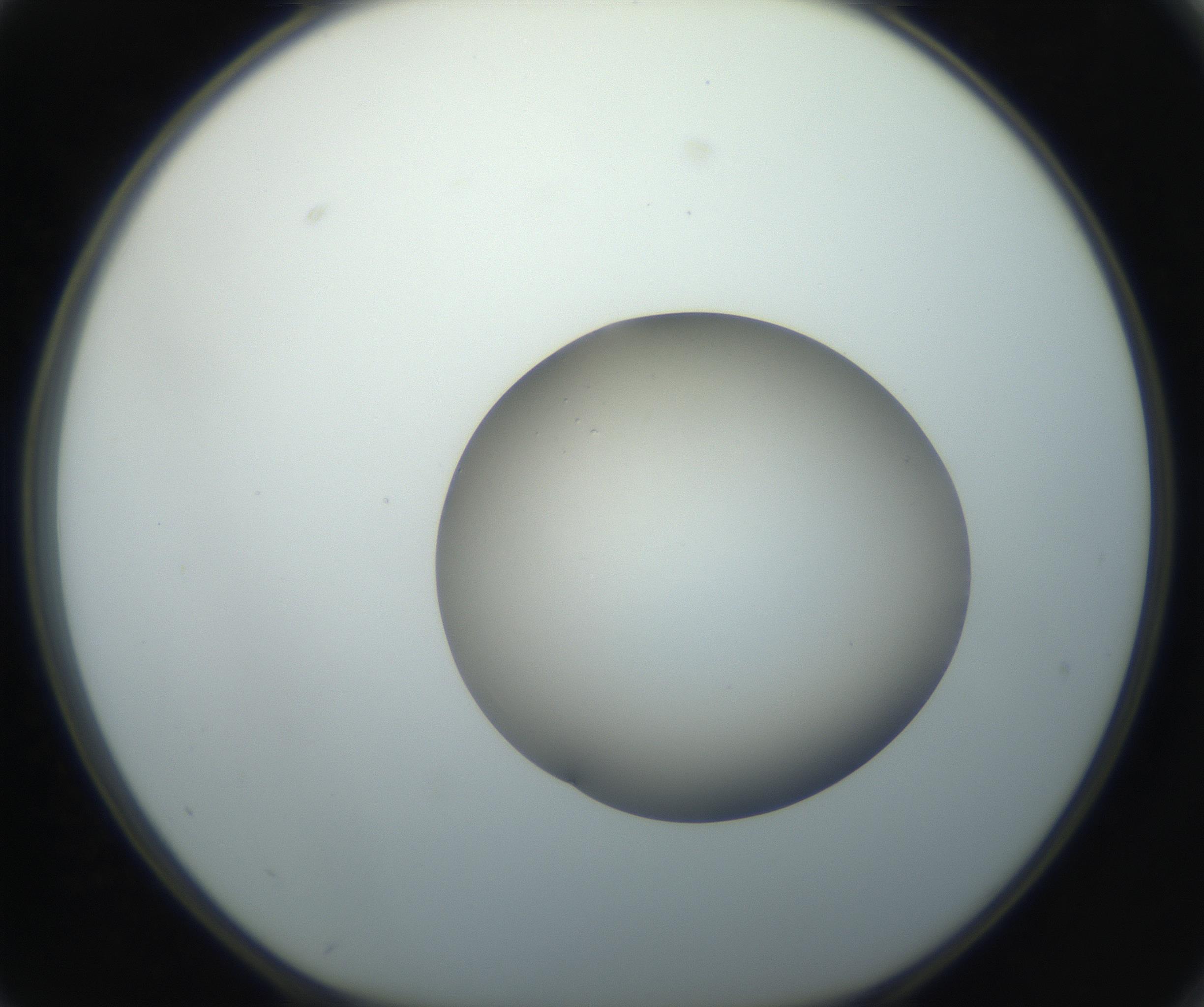 RI01_03_000_0212_Proj1_Clon1_MC_0000MC102735_003_160921_02_07_01_00_99_002_001_RAI.jpg