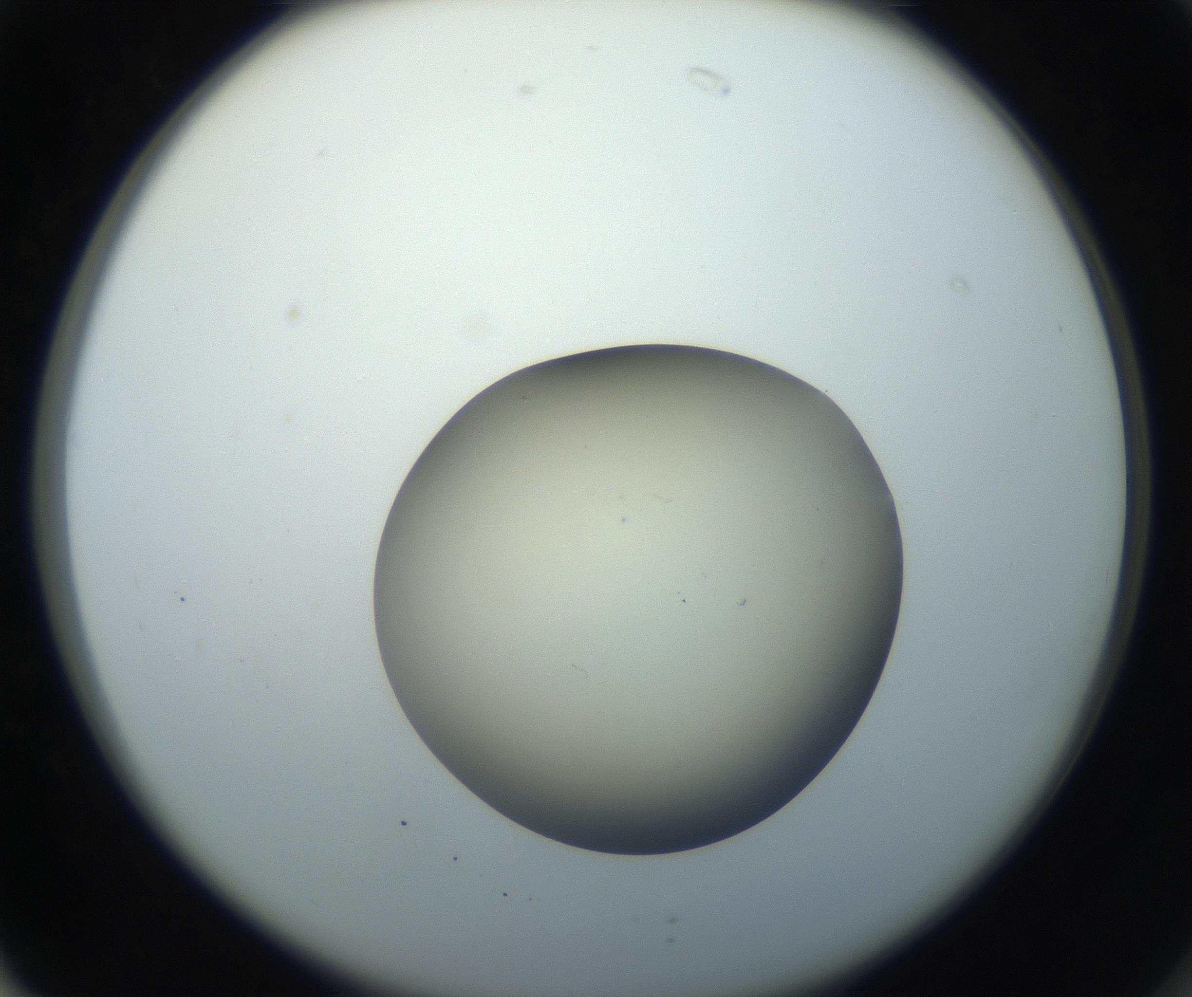 RI01_03_000_0212_Proj1_Clon1_MC_0000MC102735_003_160921_02_07_02_00_99_002_001_RAI.jpg