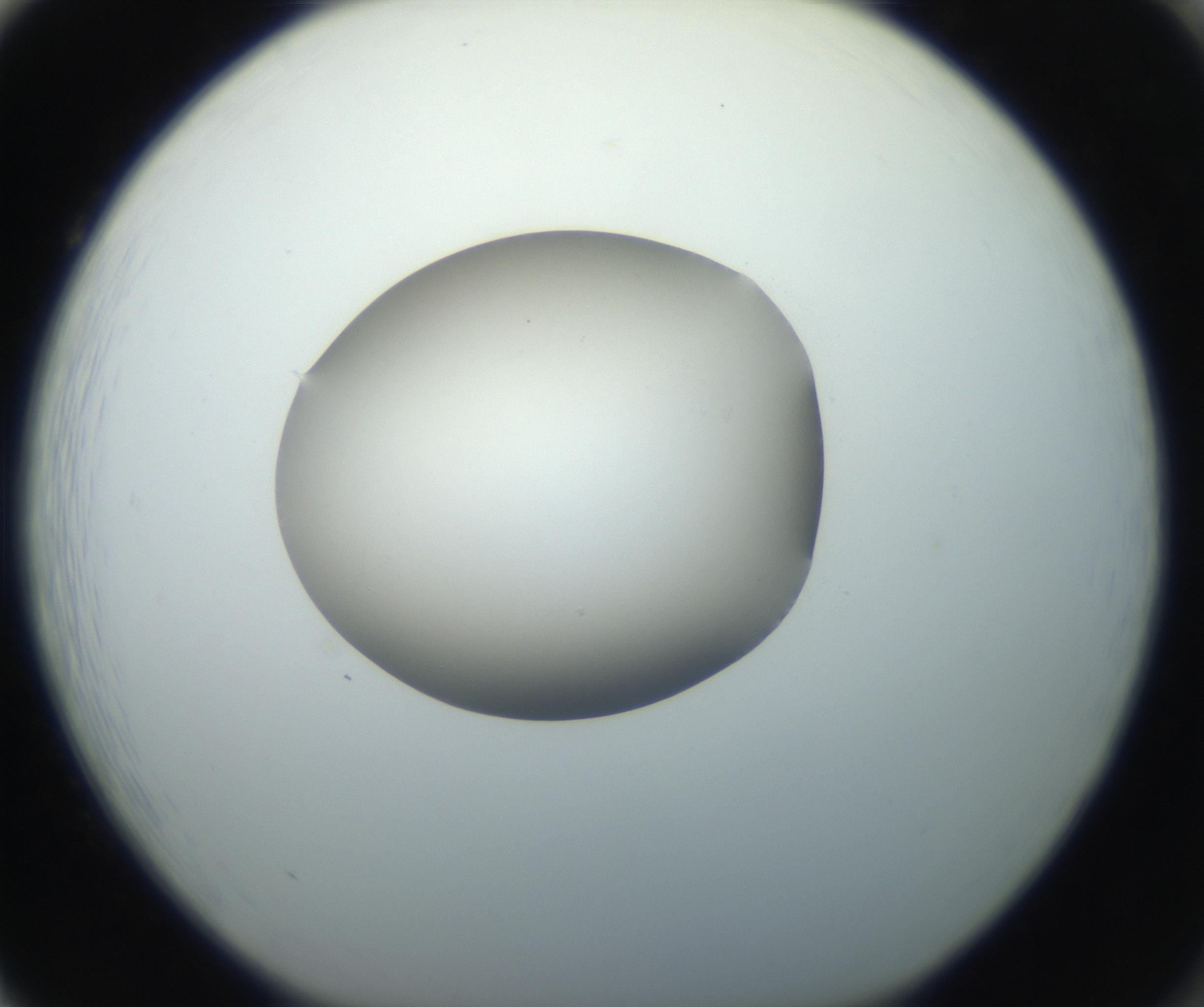 RI01_03_000_0212_Proj1_Clon1_MC_0000MC102735_003_160921_02_08_01_00_99_002_001_RAI.jpg
