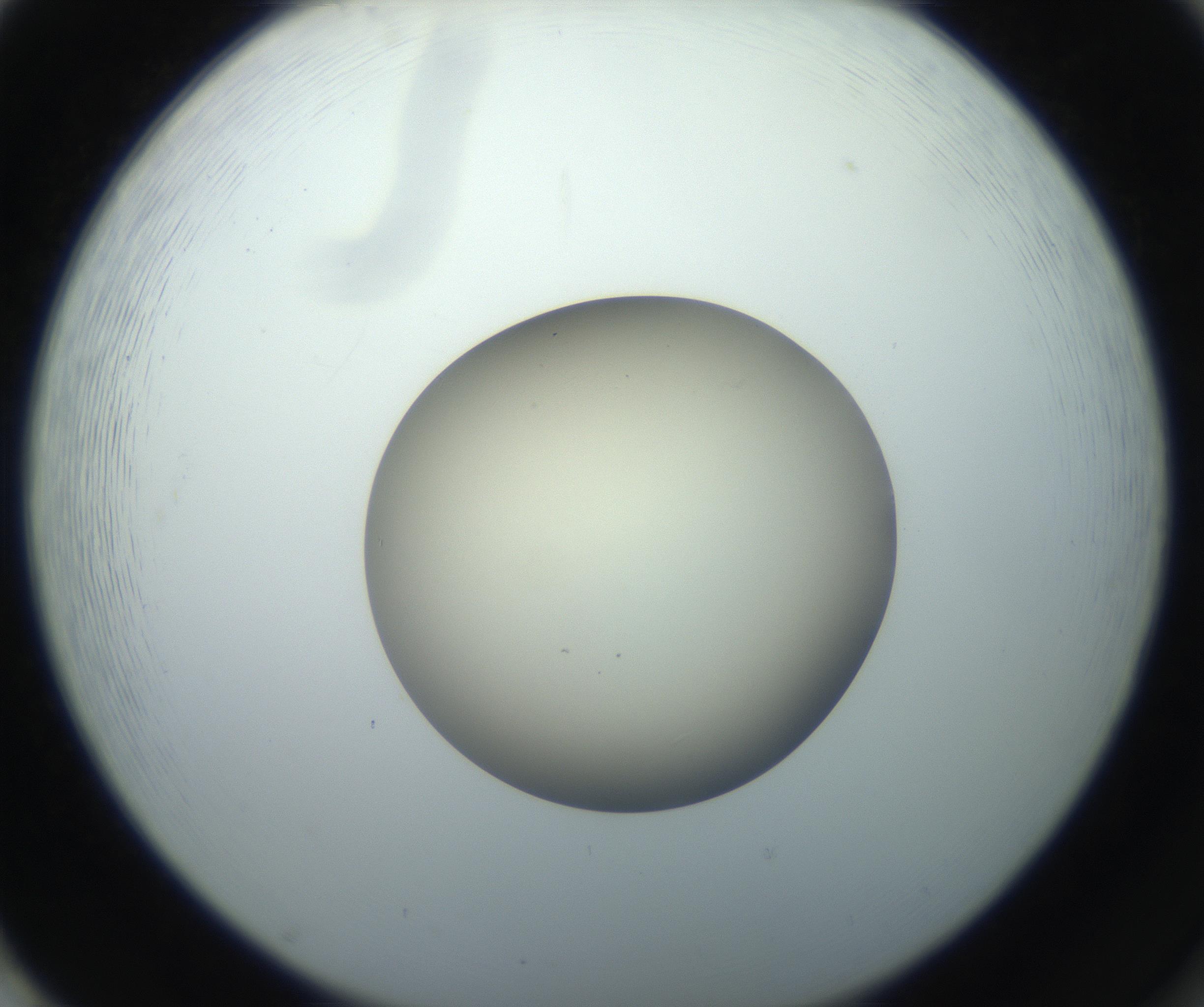 RI01_03_000_0212_Proj1_Clon1_MC_0000MC102735_003_160921_02_08_02_00_99_002_001_RAI.jpg